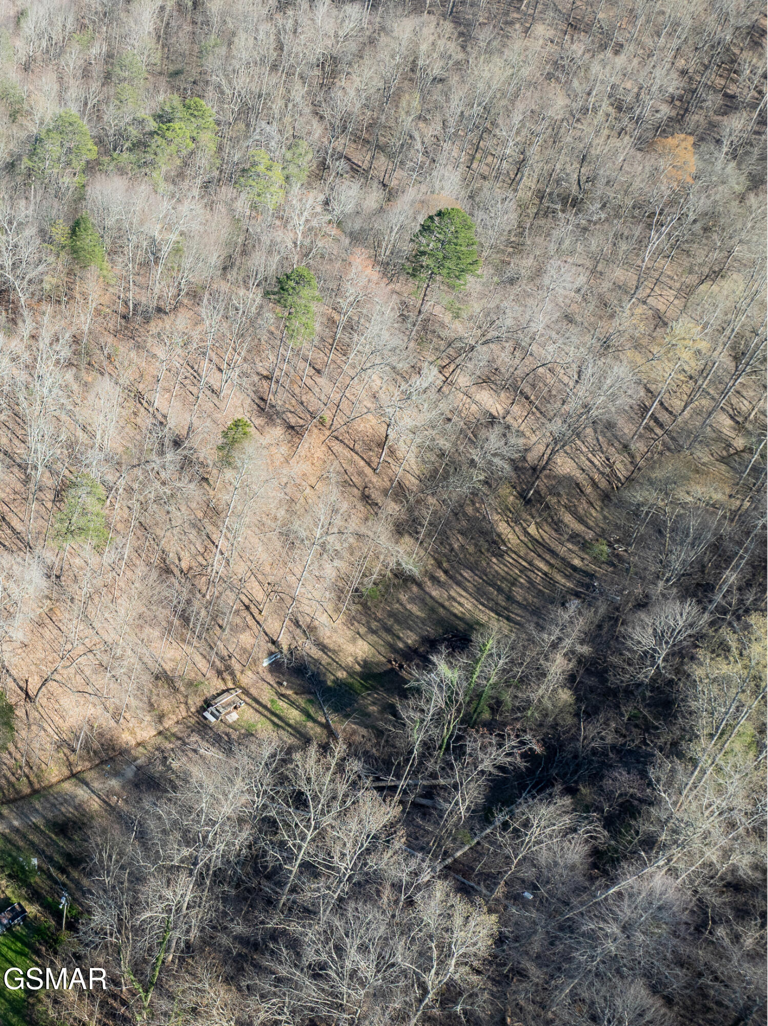 2723 Redbud Valley Drive Maryville TN 37801