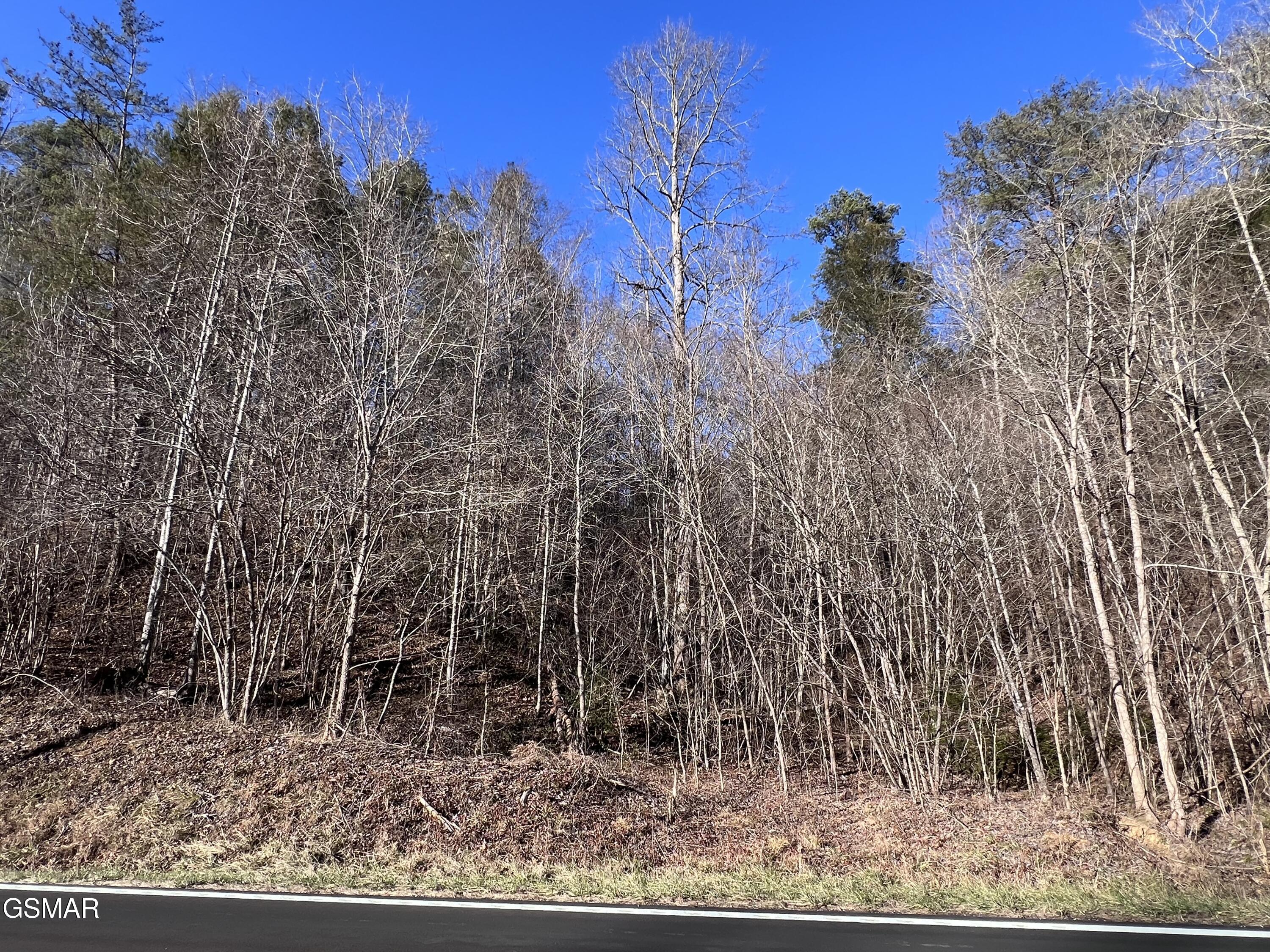 Lot 17, 18 Jones Cove Road Sevierville TN 37876