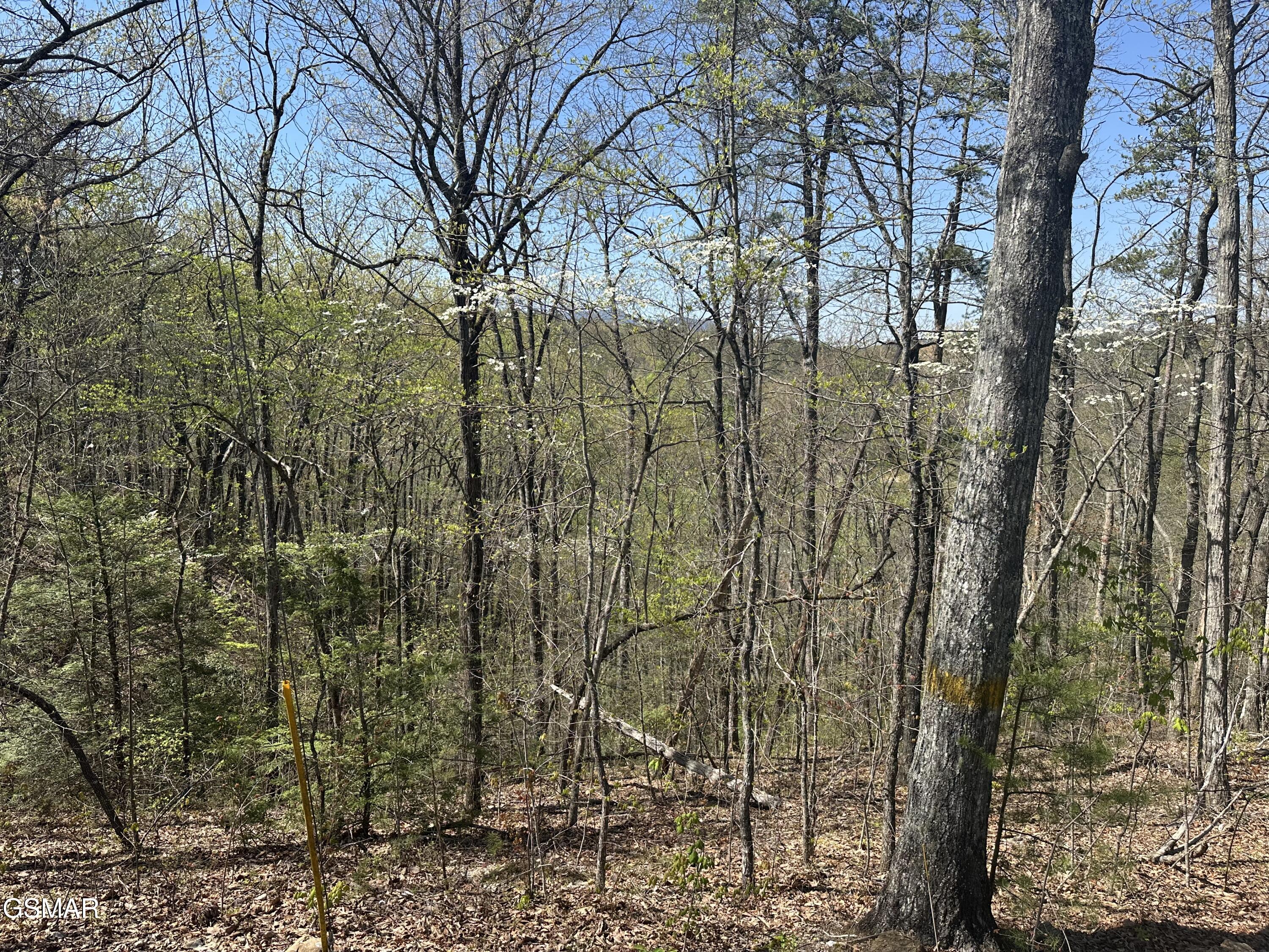 1532 Mountain Dreams Way Pigeon Forge TN 37862