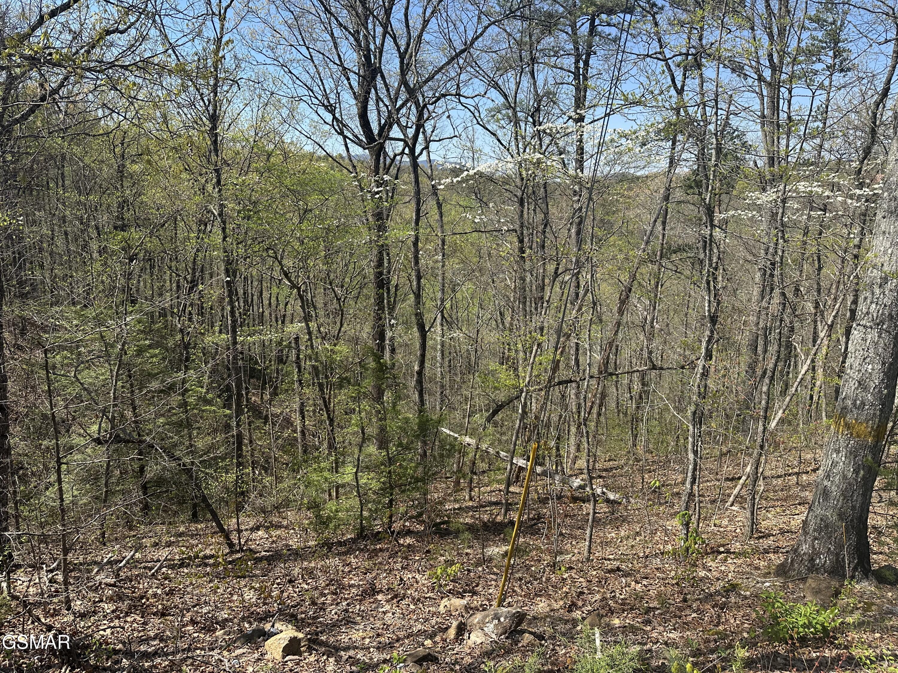 1532 Mountain Dreams Way Pigeon Forge TN 37862