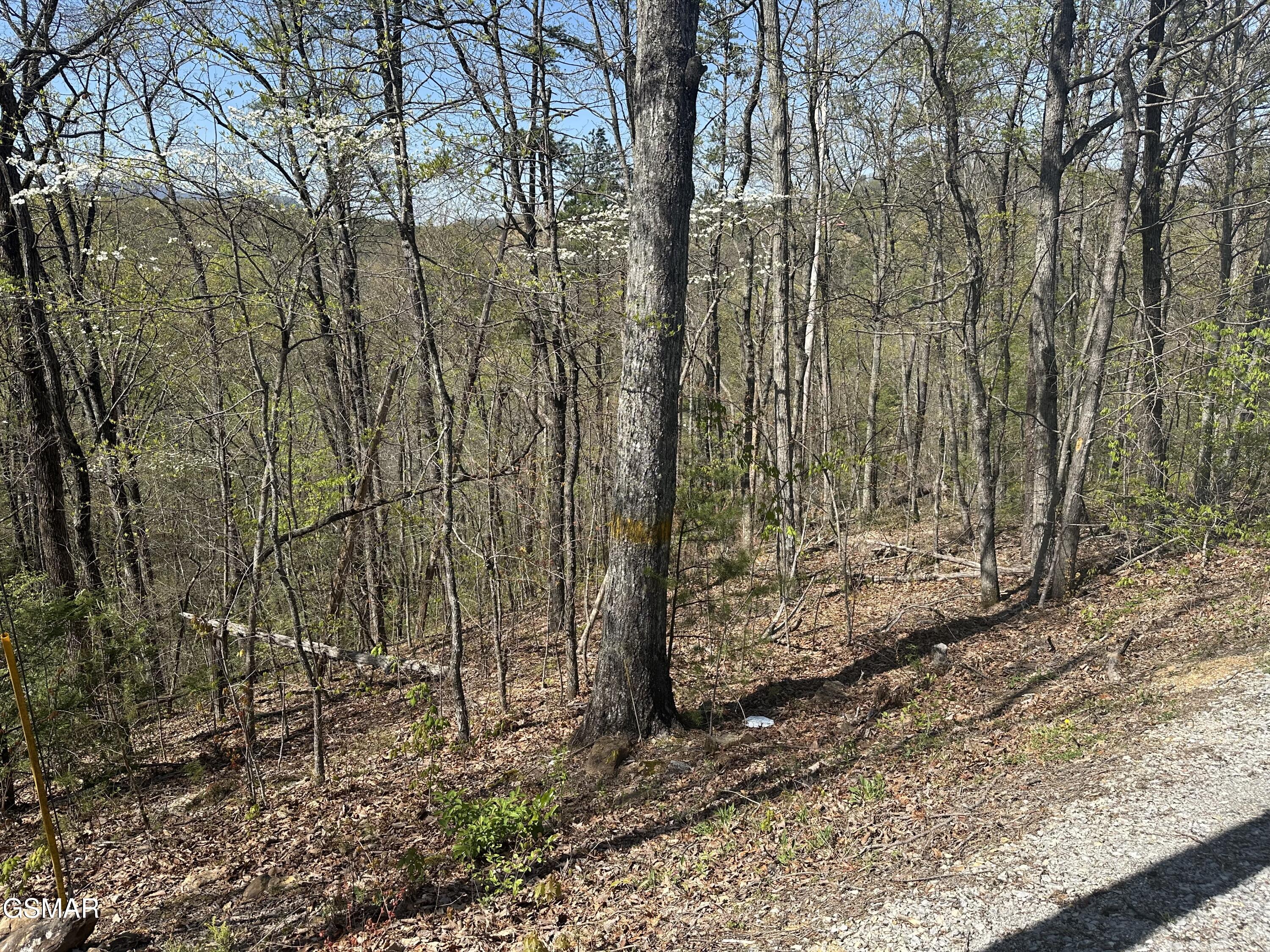 1532 Mountain Dreams Way Pigeon Forge TN 37862