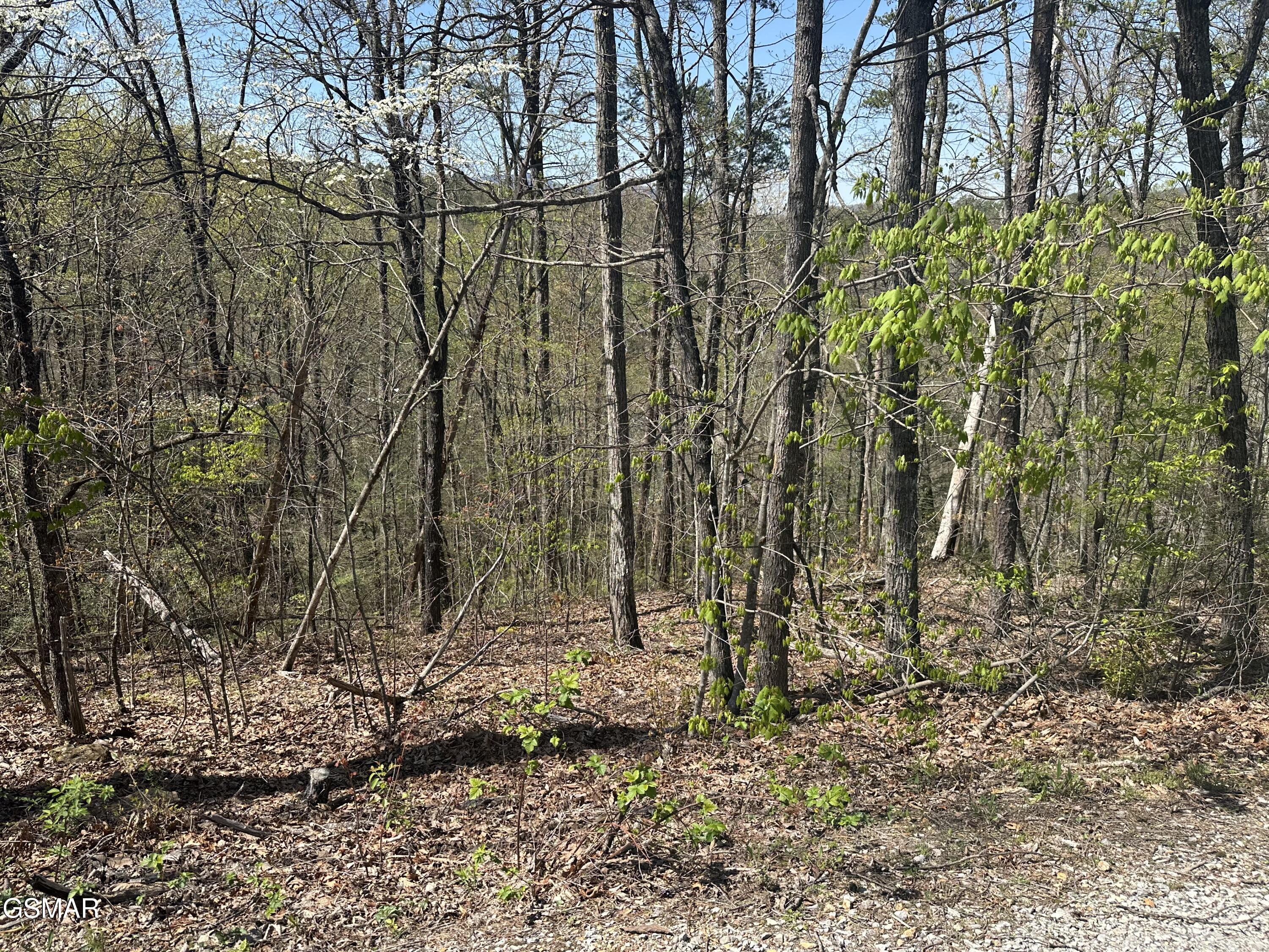 1532 Mountain Dreams Way Pigeon Forge TN 37862