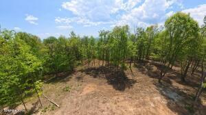 217 Eagle View Lane Jacksboro TN 37757
