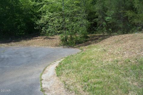 Lot 28 Splendor Way Parrottsville TN 37843