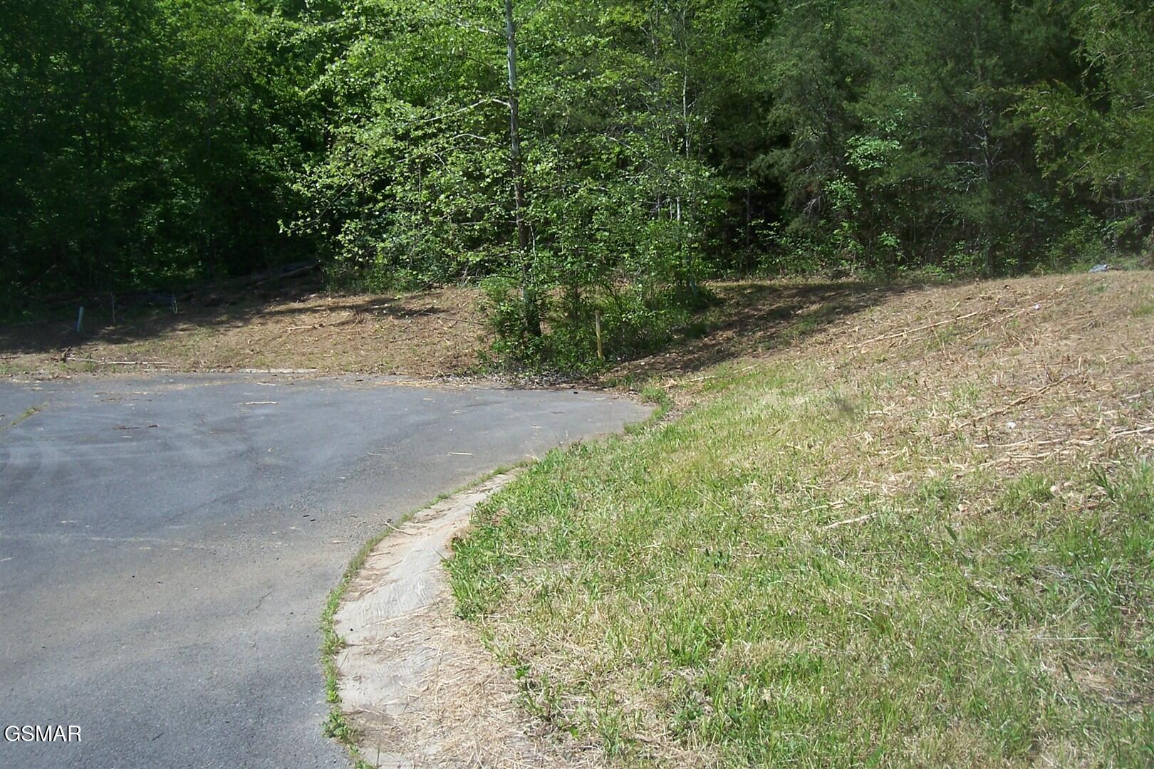 Lot 28 Splendor Way Parrottsville TN 37843