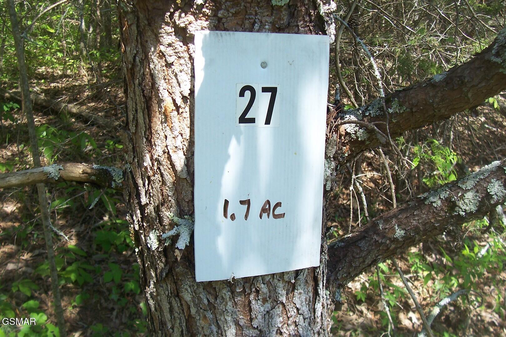 Lot 28 Splendor Way Parrottsville TN 37843