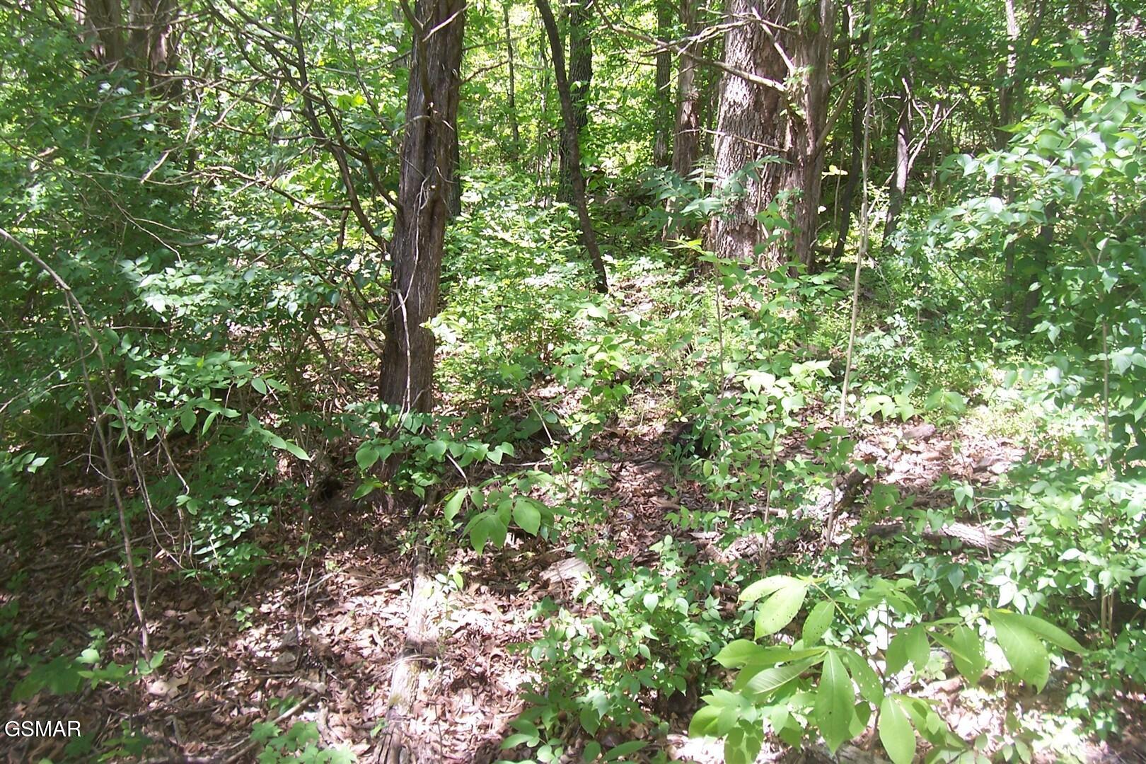 Lot 28 Splendor Way Parrottsville TN 37843