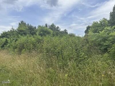 0 Saddleridge Drive Speedwell TN 37870