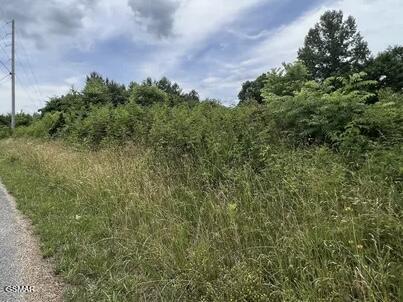 0 Saddleridge Drive Speedwell TN 37870