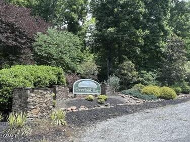 0 Saddleridge Drive Speedwell TN 37870