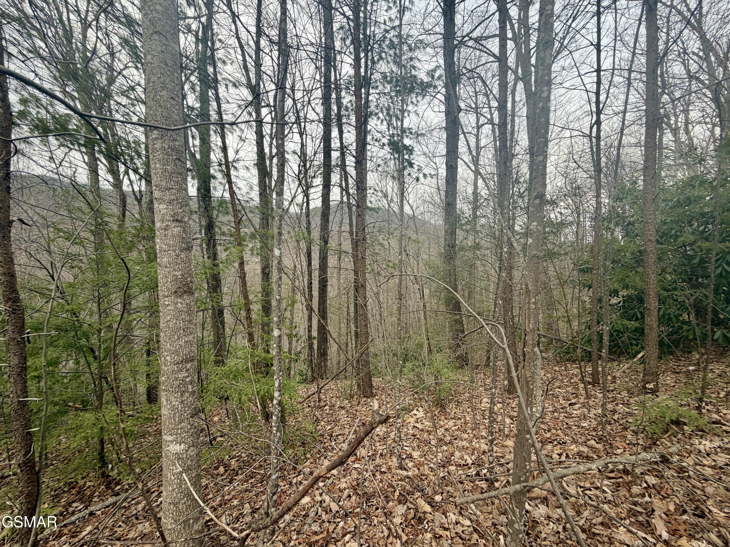 Lot 6 Thissa Way Gatlinburg TN 37738