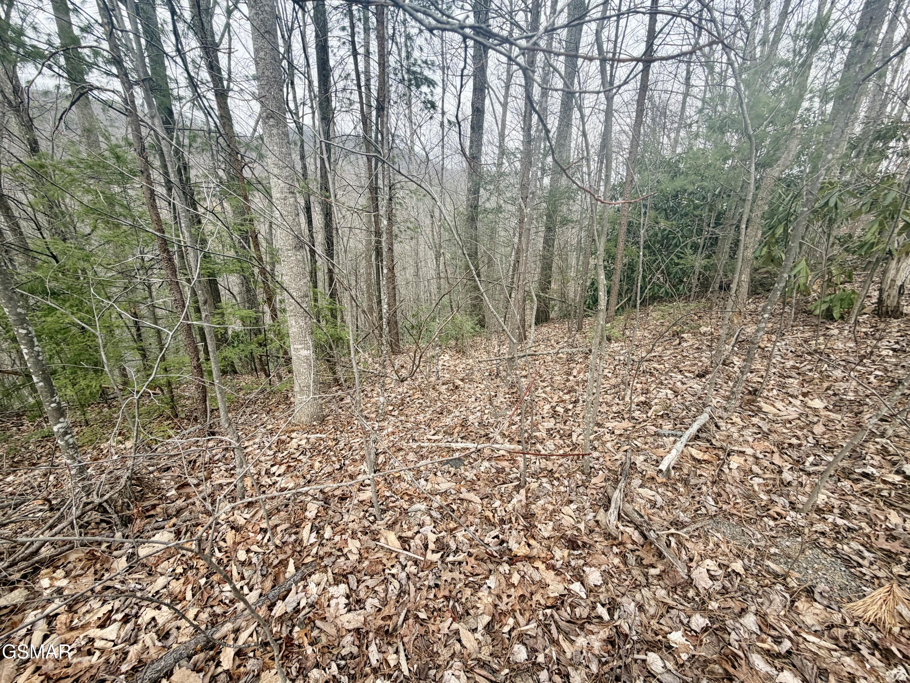 Lot 6 Thissa Way Gatlinburg TN 37738