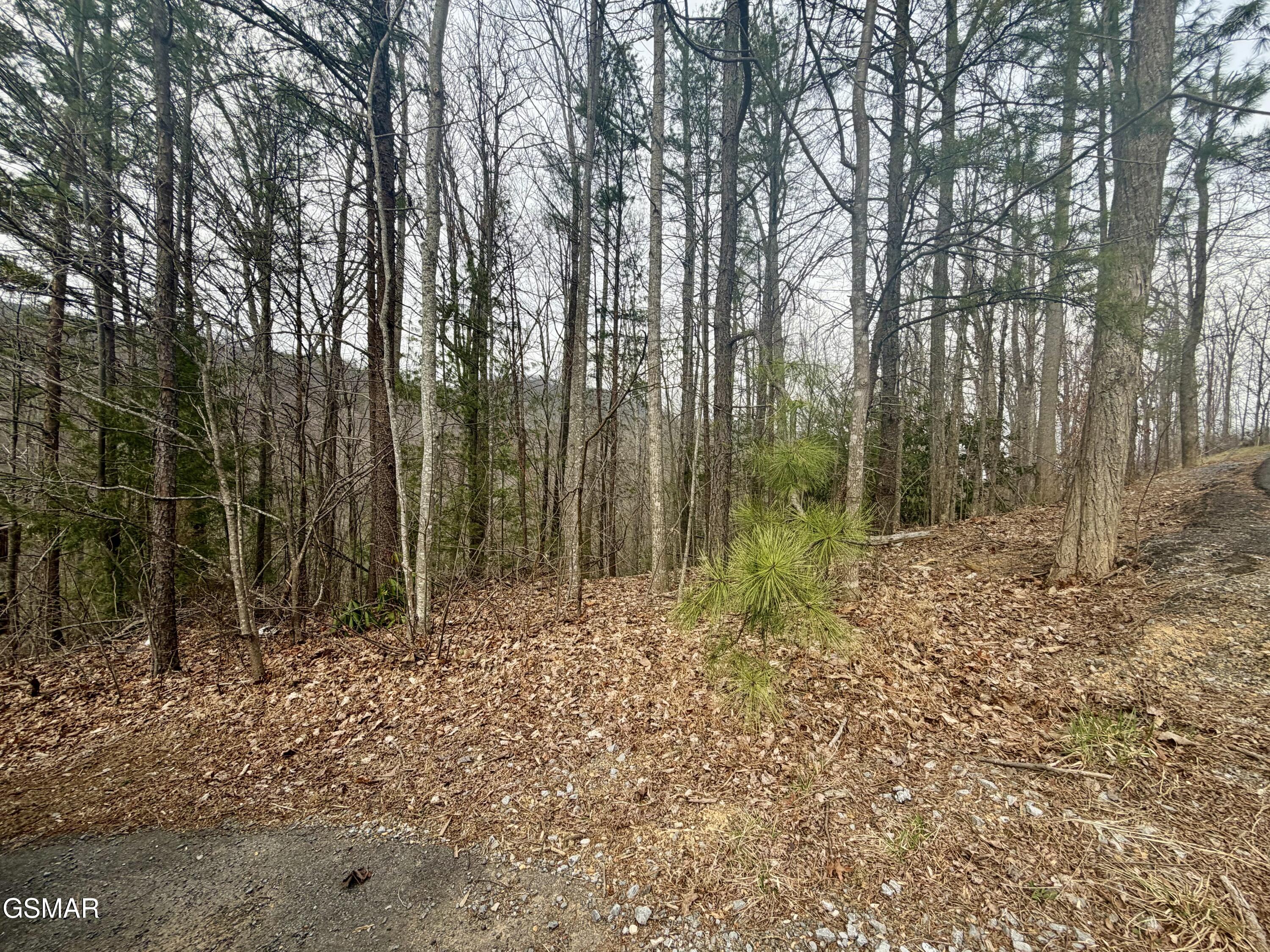 Lot 6 Thissa Way Gatlinburg TN 37738