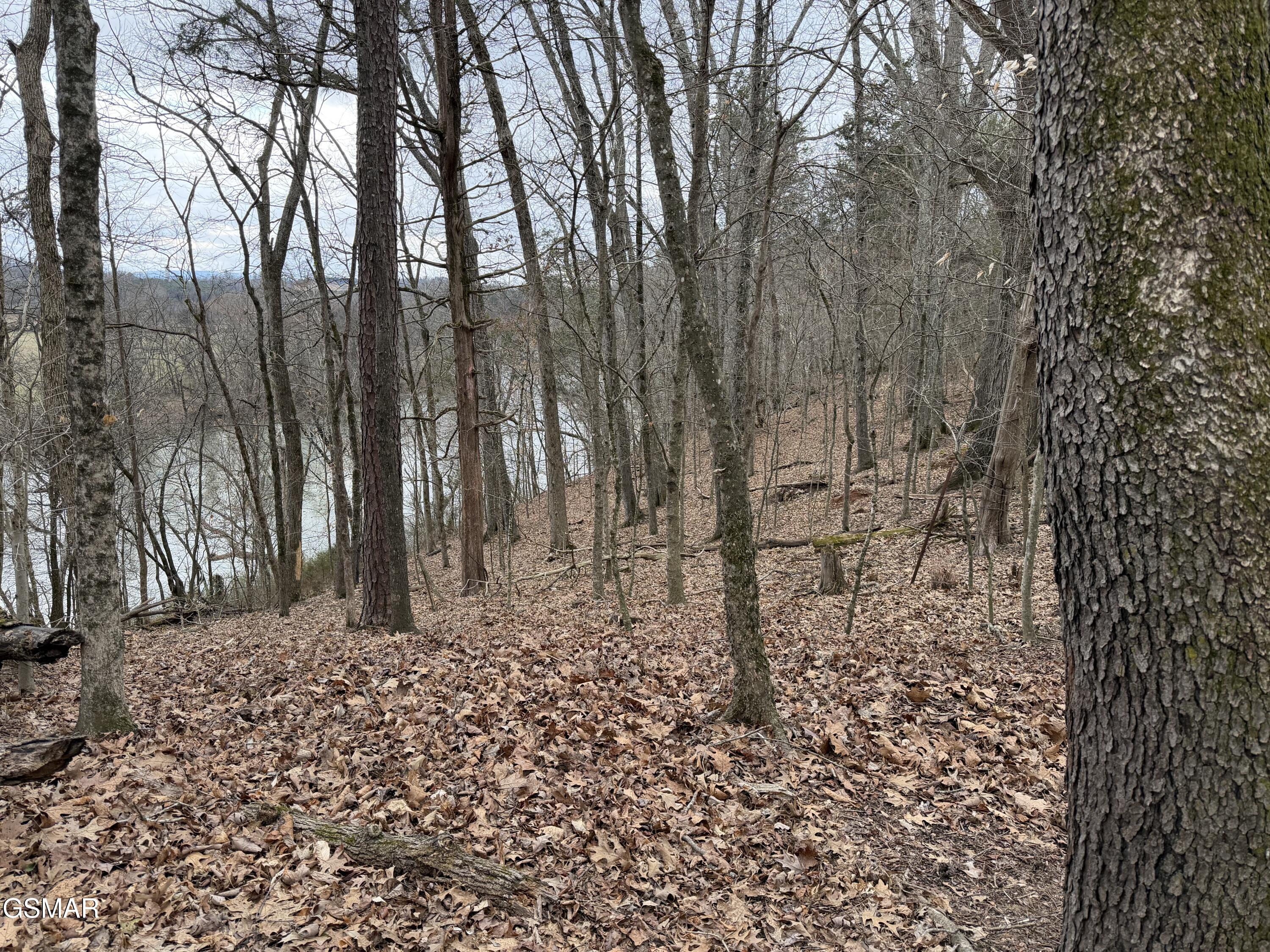 Lot 6 John Spears Way Sevierville TN 37876