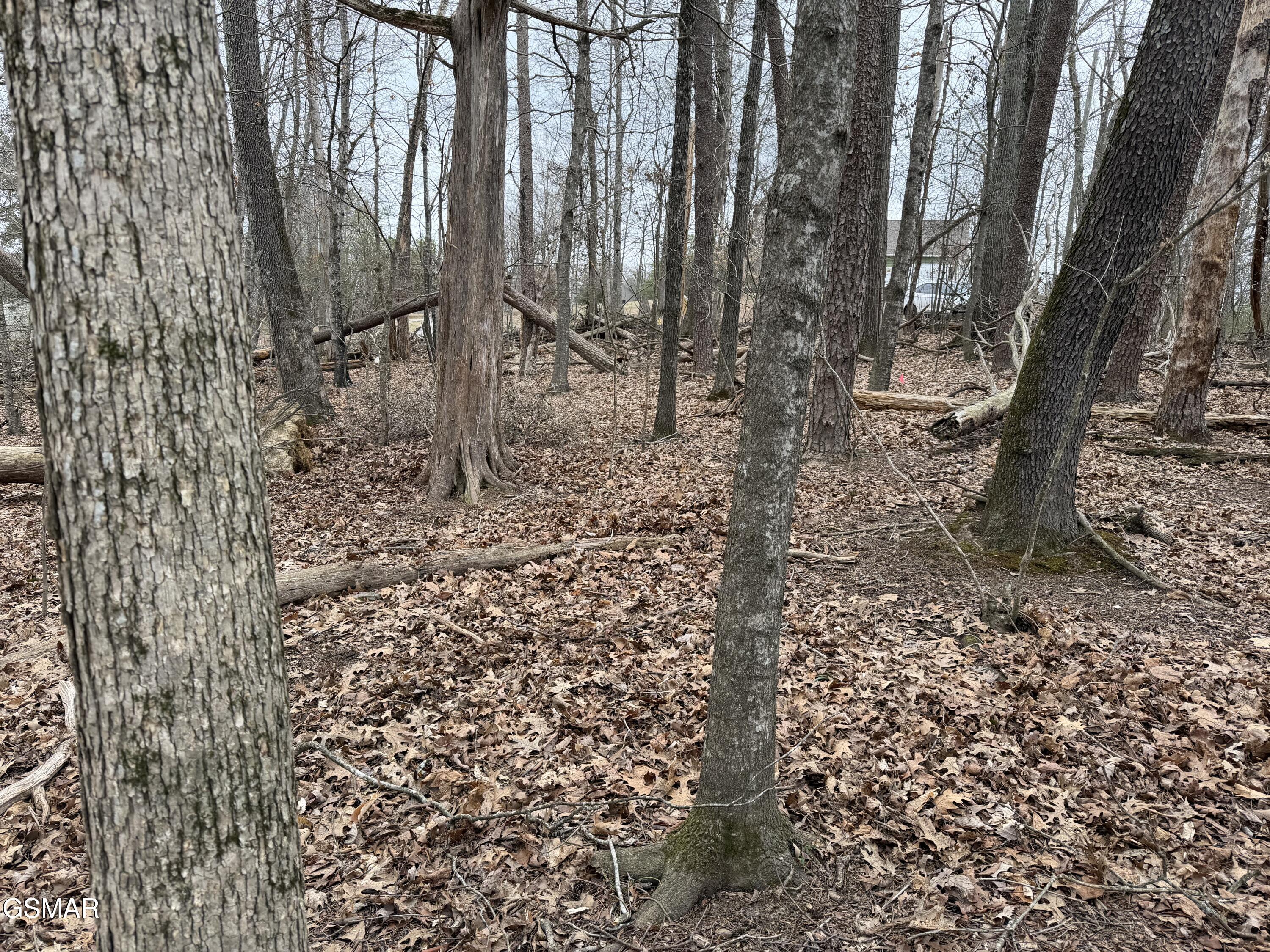 Lot 6 John Spears Way Sevierville TN 37876