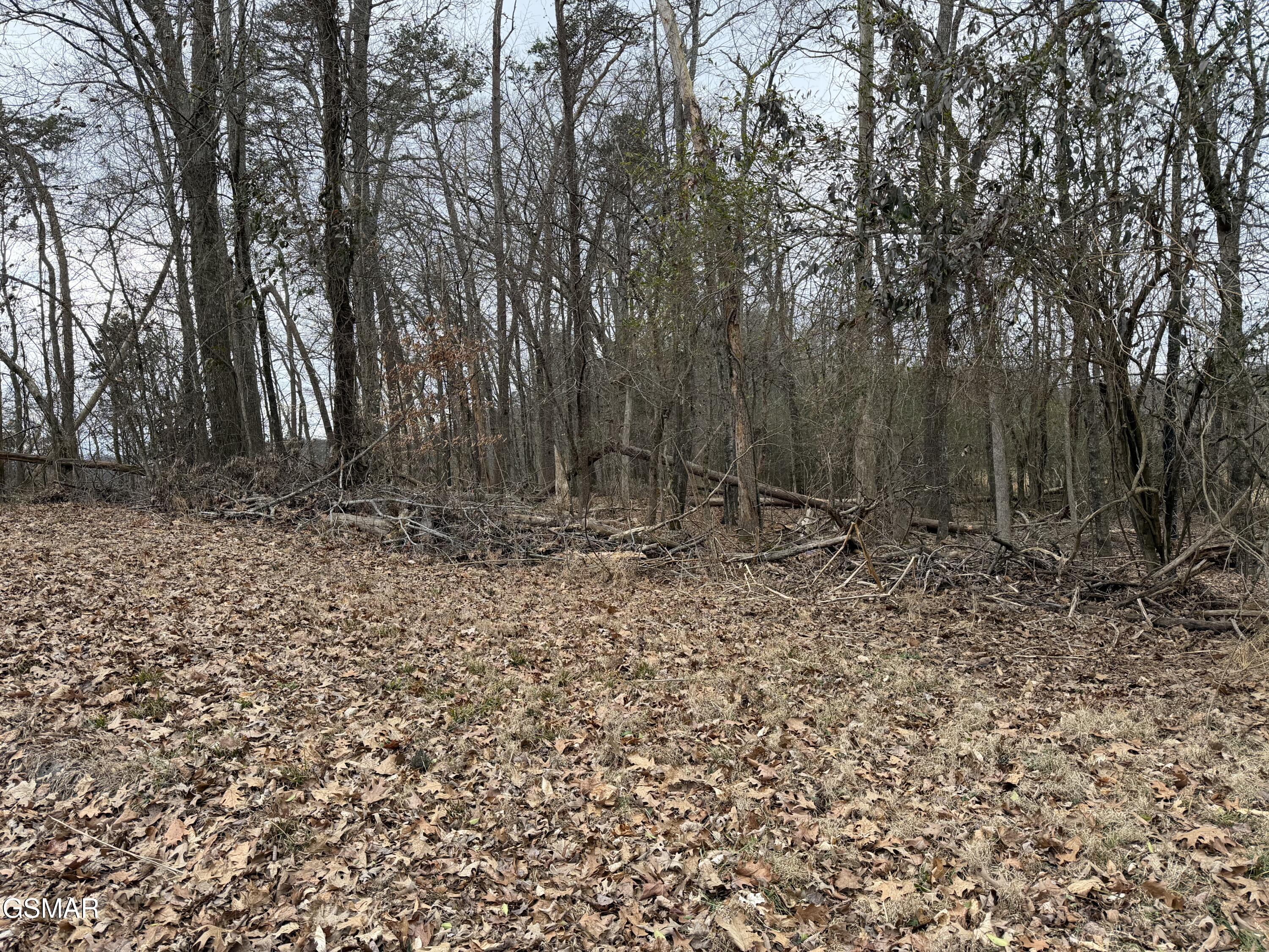 Lot 6 John Spears Way Sevierville TN 37876