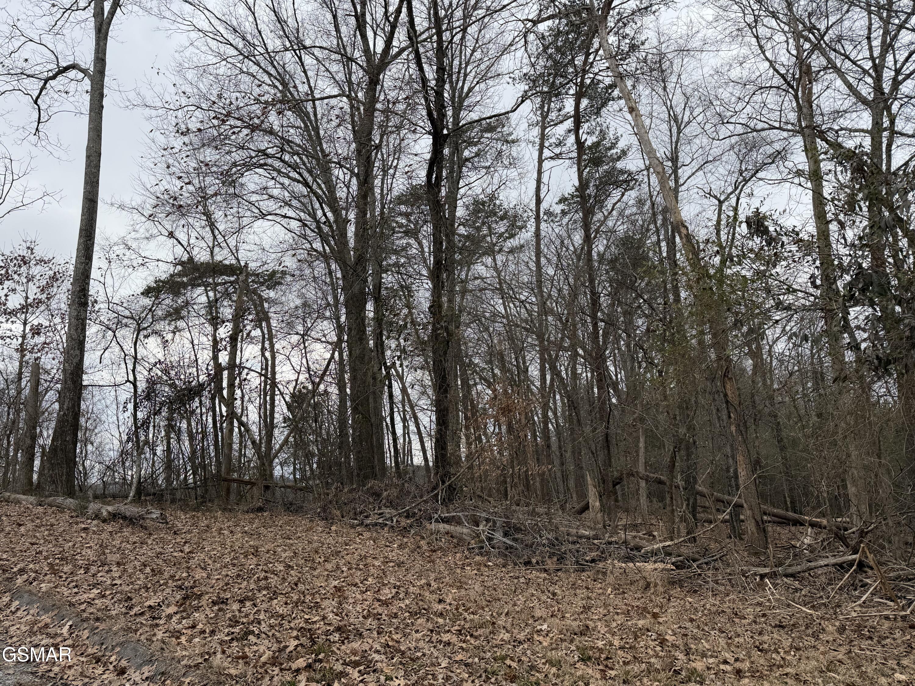 Lot 6 John Spears Way Sevierville TN 37876