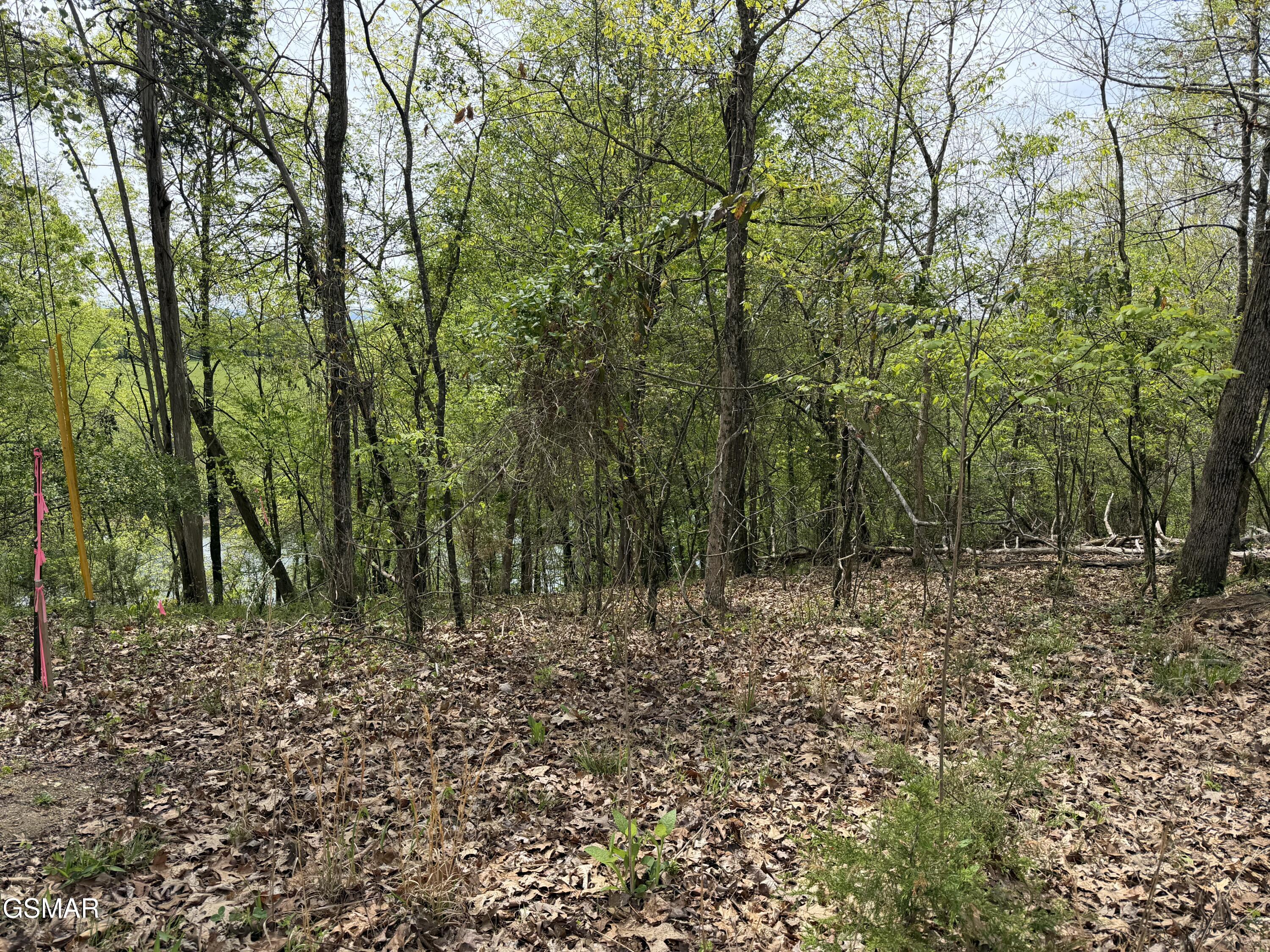Lot 6 John Spears Way Sevierville TN 37876