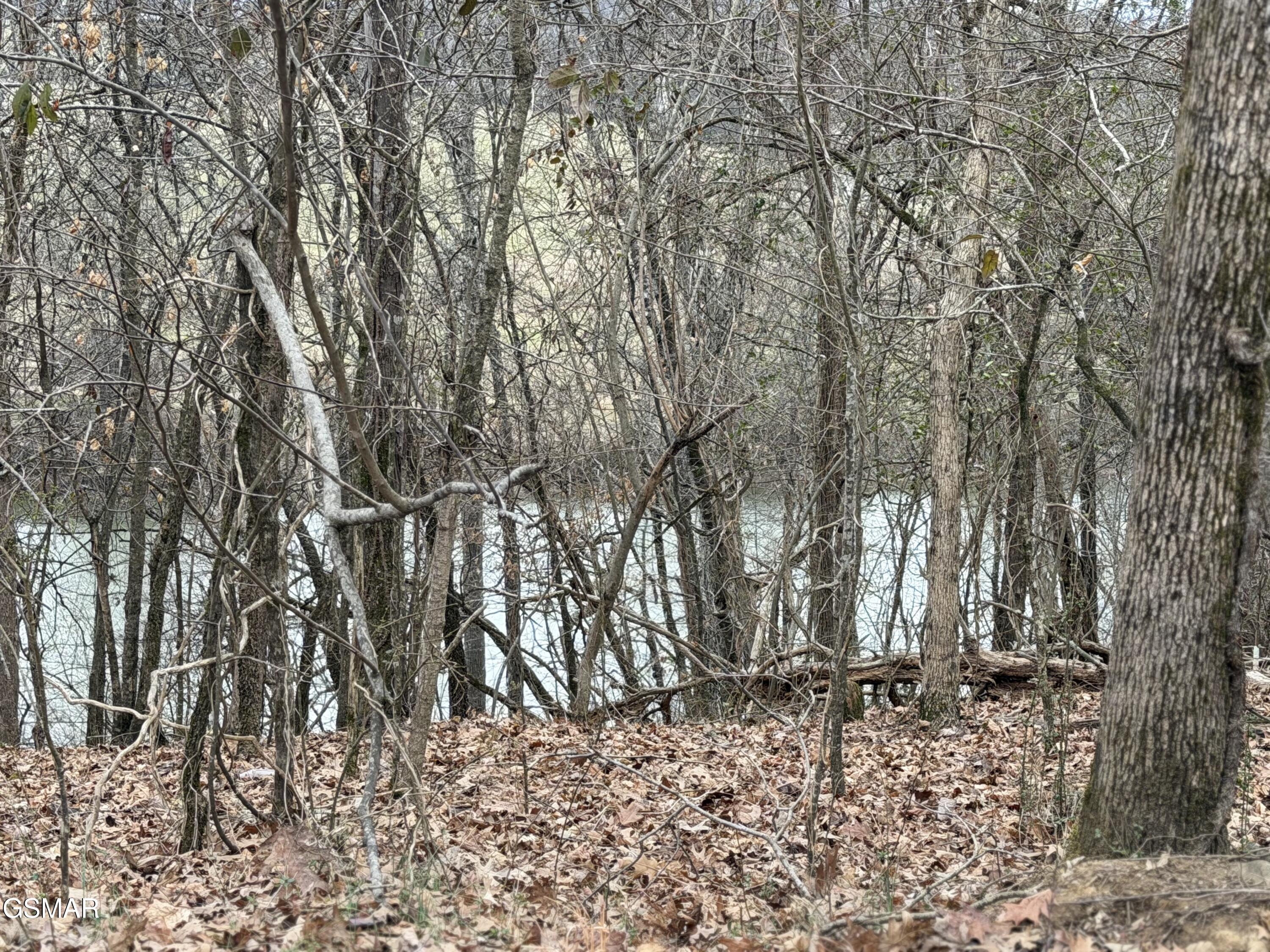 Lot 6 John Spears Way Sevierville TN 37876