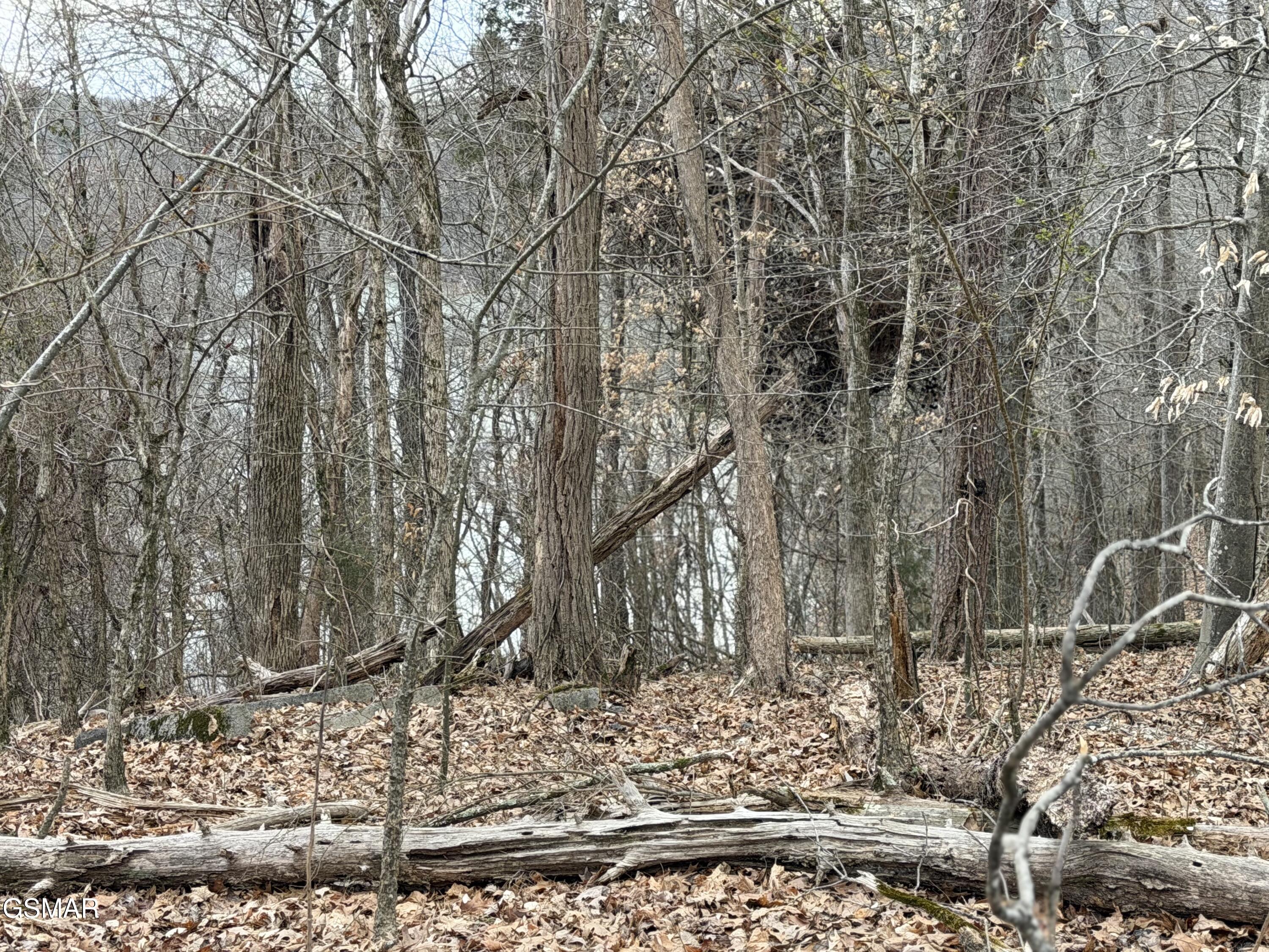 Lot 6 John Spears Way Sevierville TN 37876