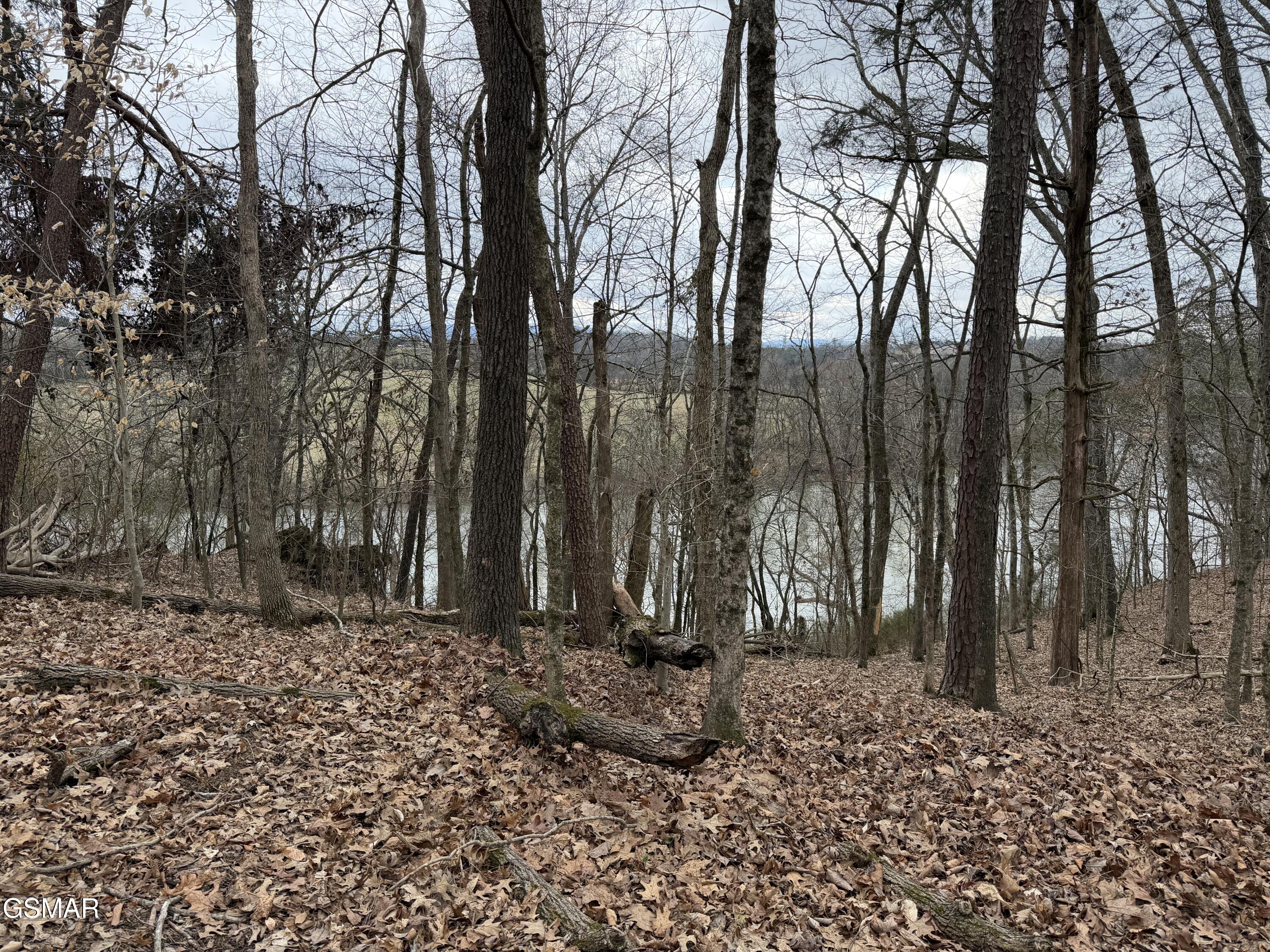 Lot 6 John Spears Way Sevierville TN 37876
