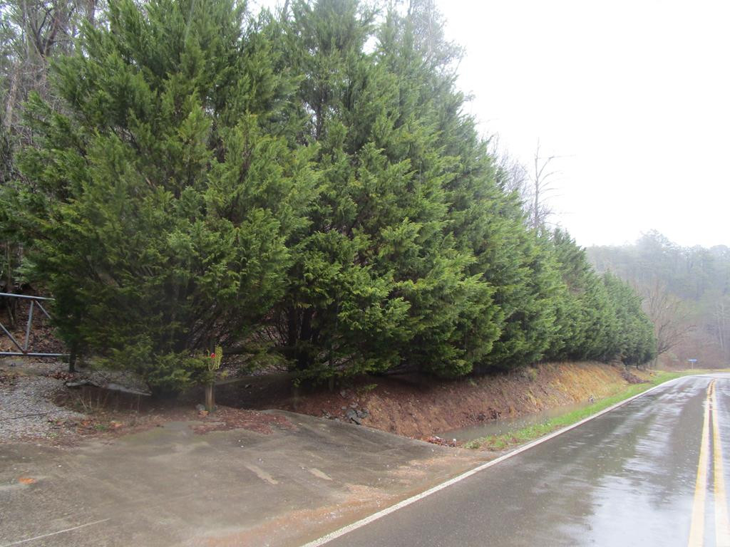 Jones Cove Road Sevierville TN 37862