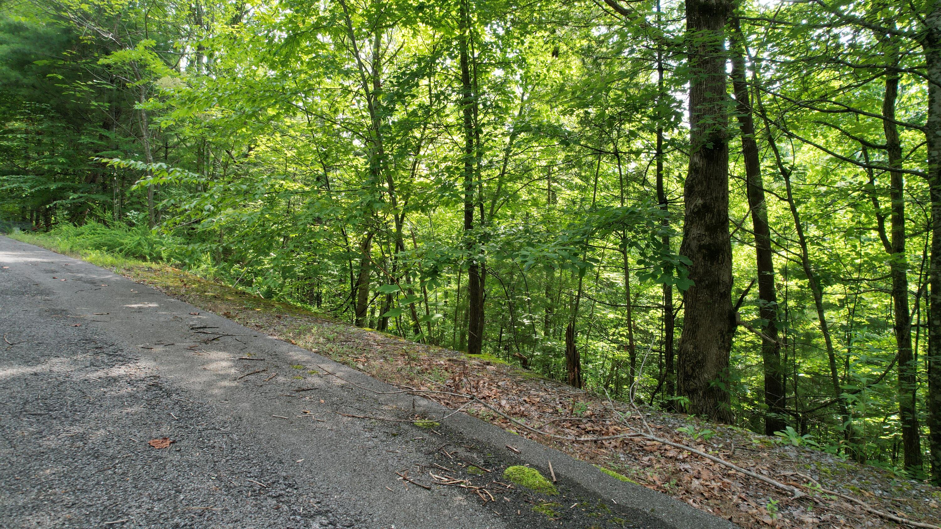 Lot 98e Black Powder Lane Sevierville TN 37862