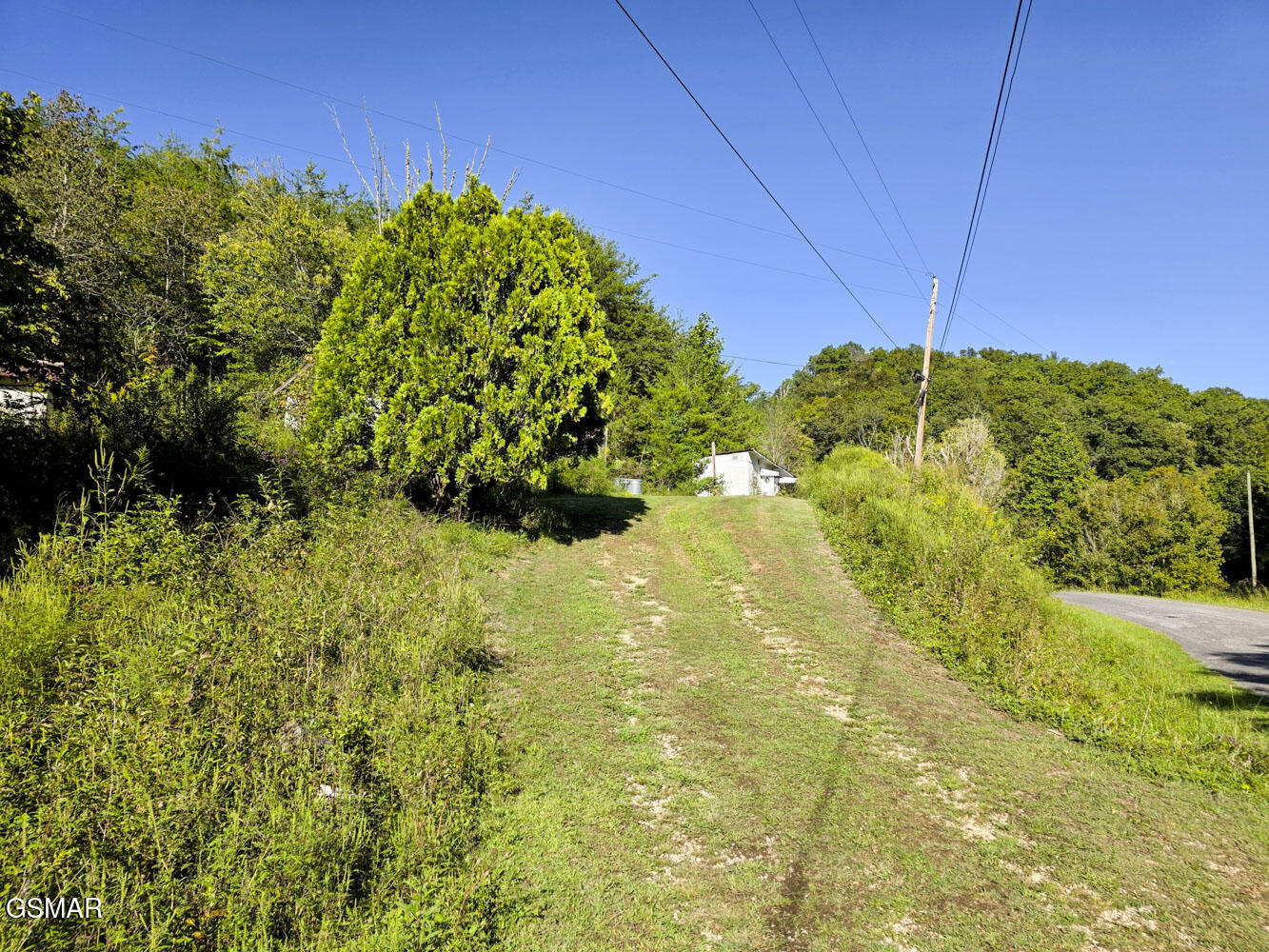2534 Muddy Hollow Dandridge TN 37725