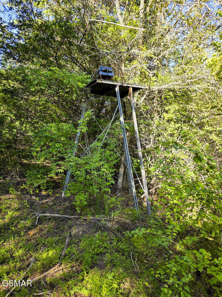 2534 Muddy Hollow Dandridge TN 37725