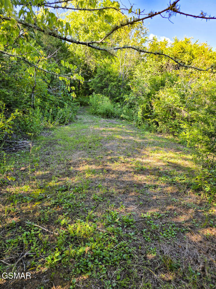 2534 Muddy Hollow Dandridge TN 37725