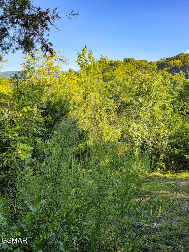 2534 Muddy Hollow Dandridge TN 37725