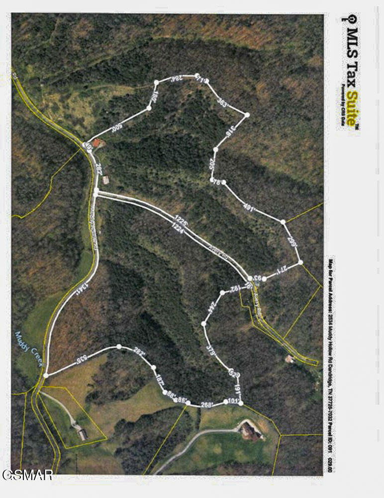 2534 Muddy Hollow Dandridge TN 37725