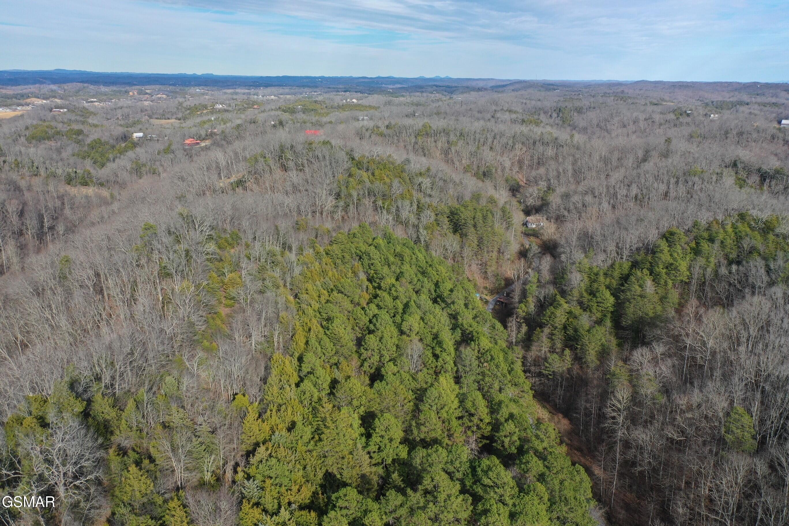 2534 Muddy Hollow Dandridge TN 37725