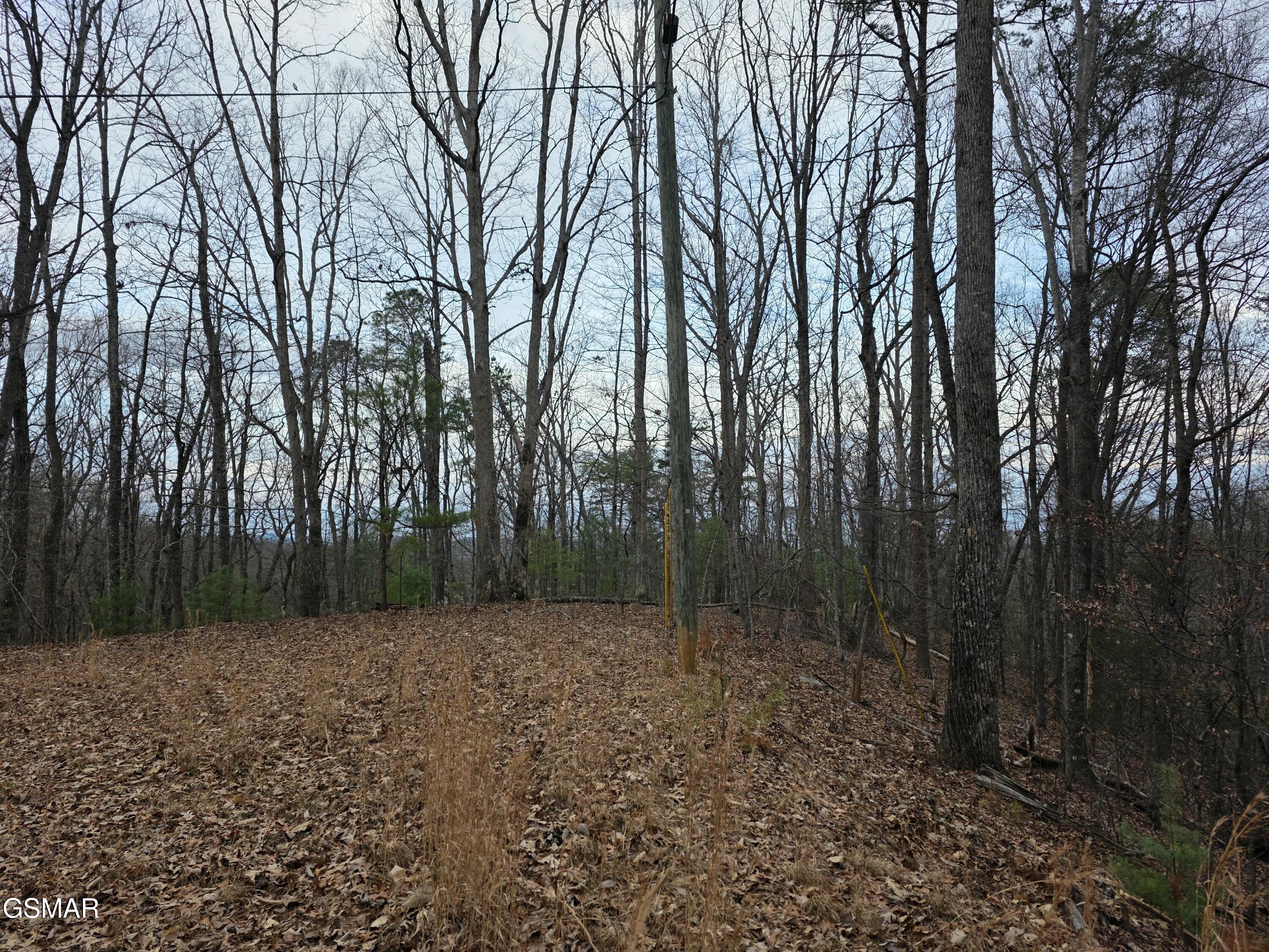 0 Deer Ridge Lane Sevierville TN 37876