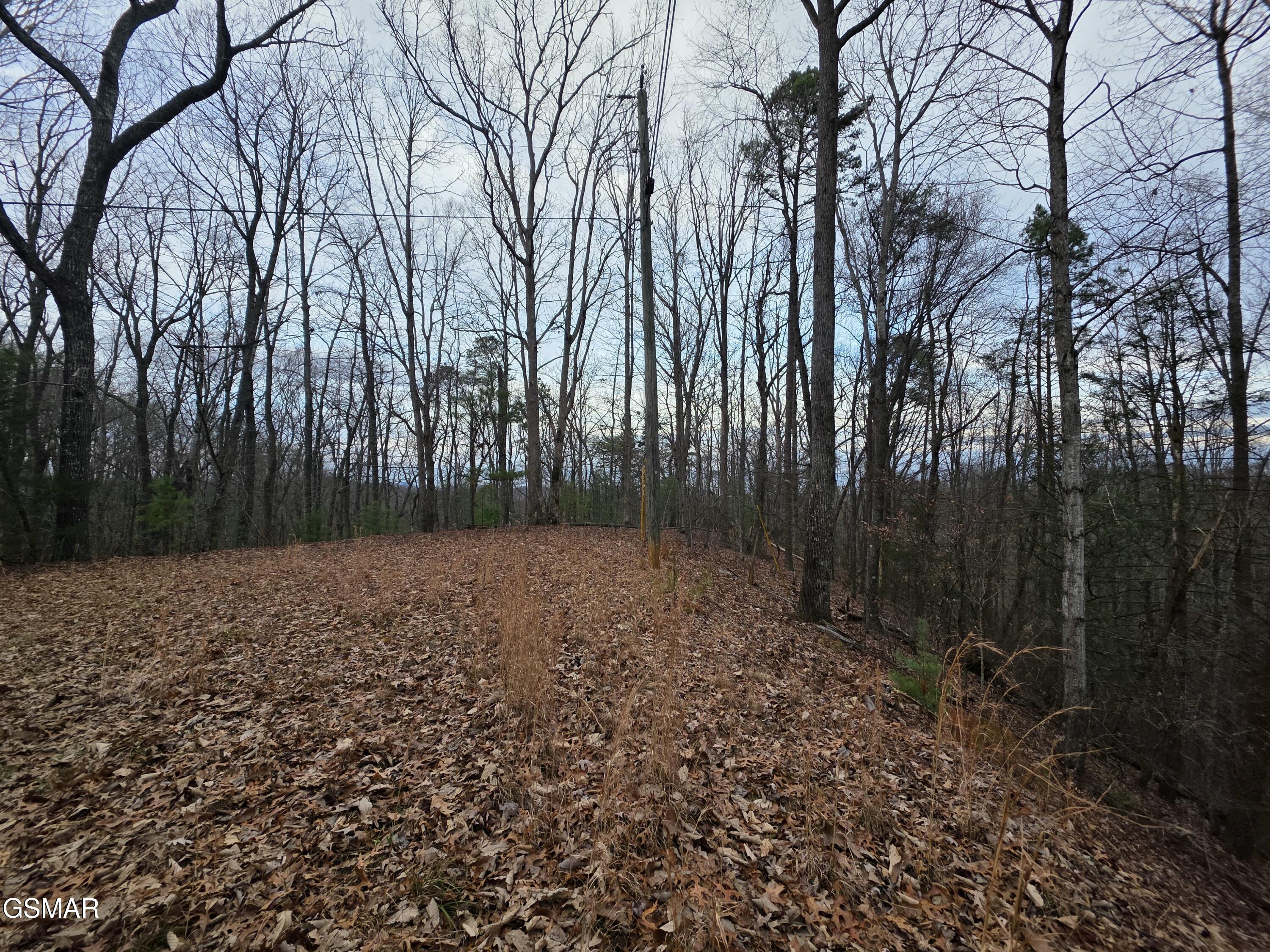 0 Deer Ridge Lane Sevierville TN 37876