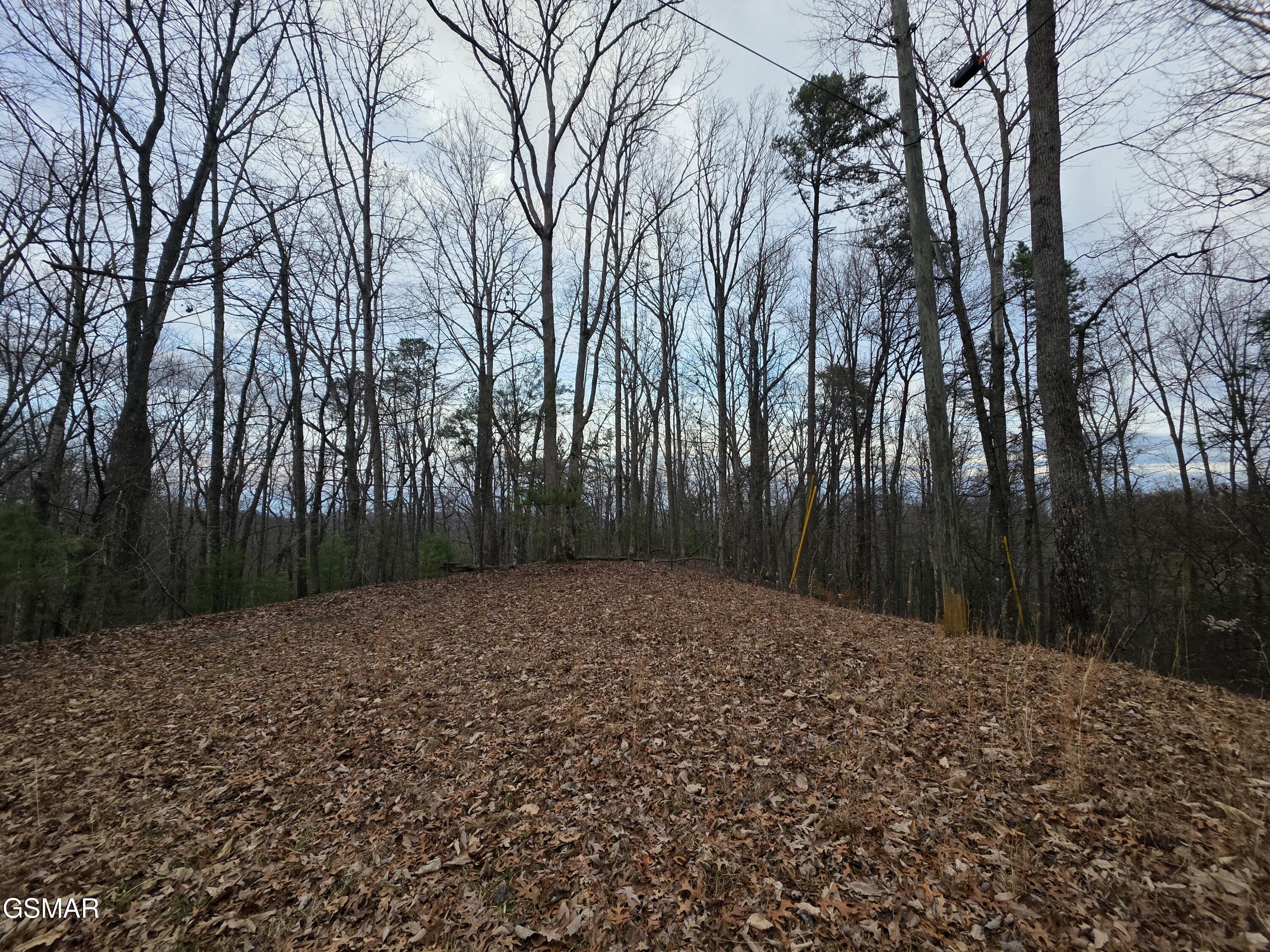 0 Deer Ridge Lane Sevierville TN 37876
