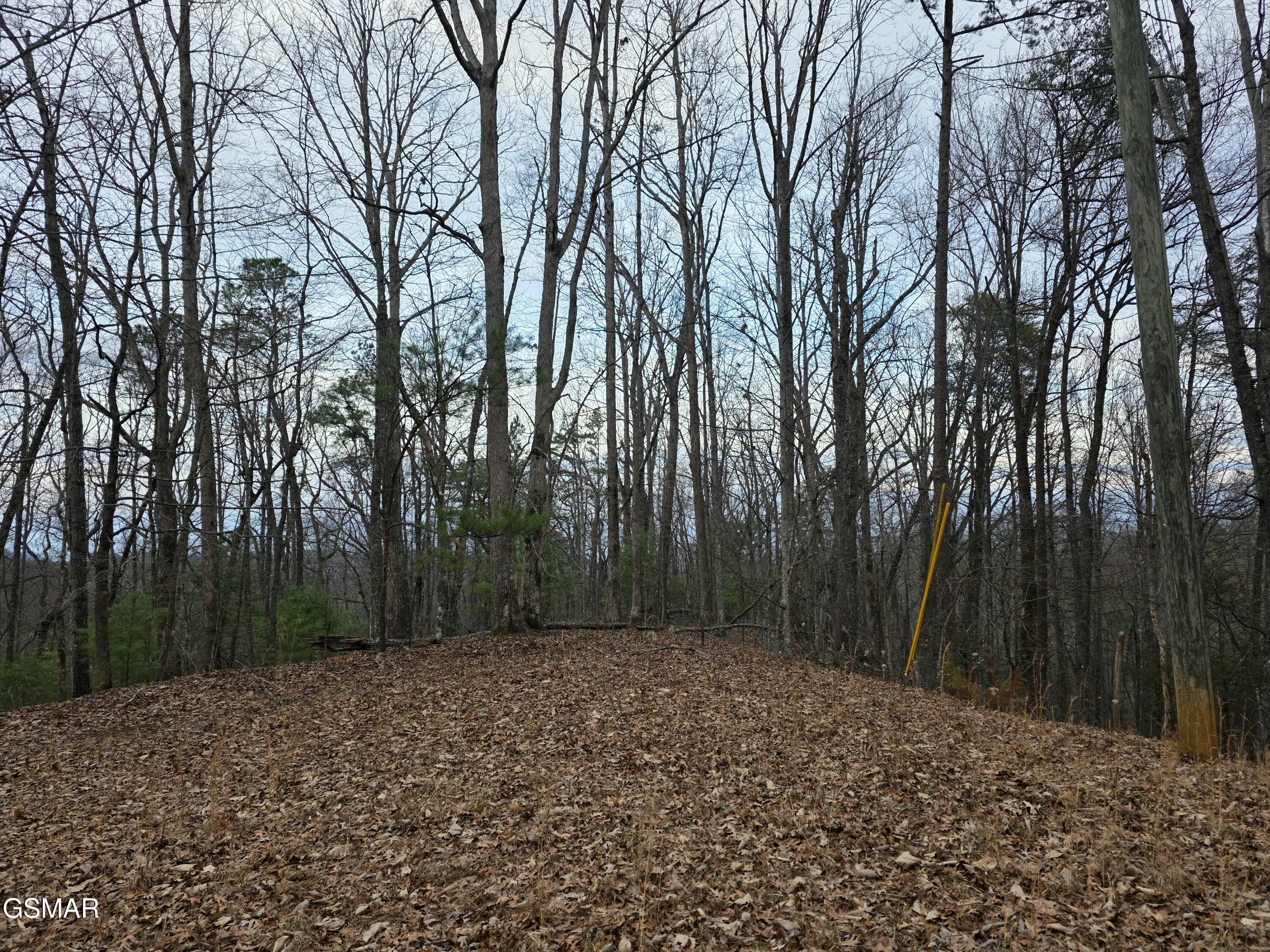 0 Deer Ridge Lane Sevierville TN 37876
