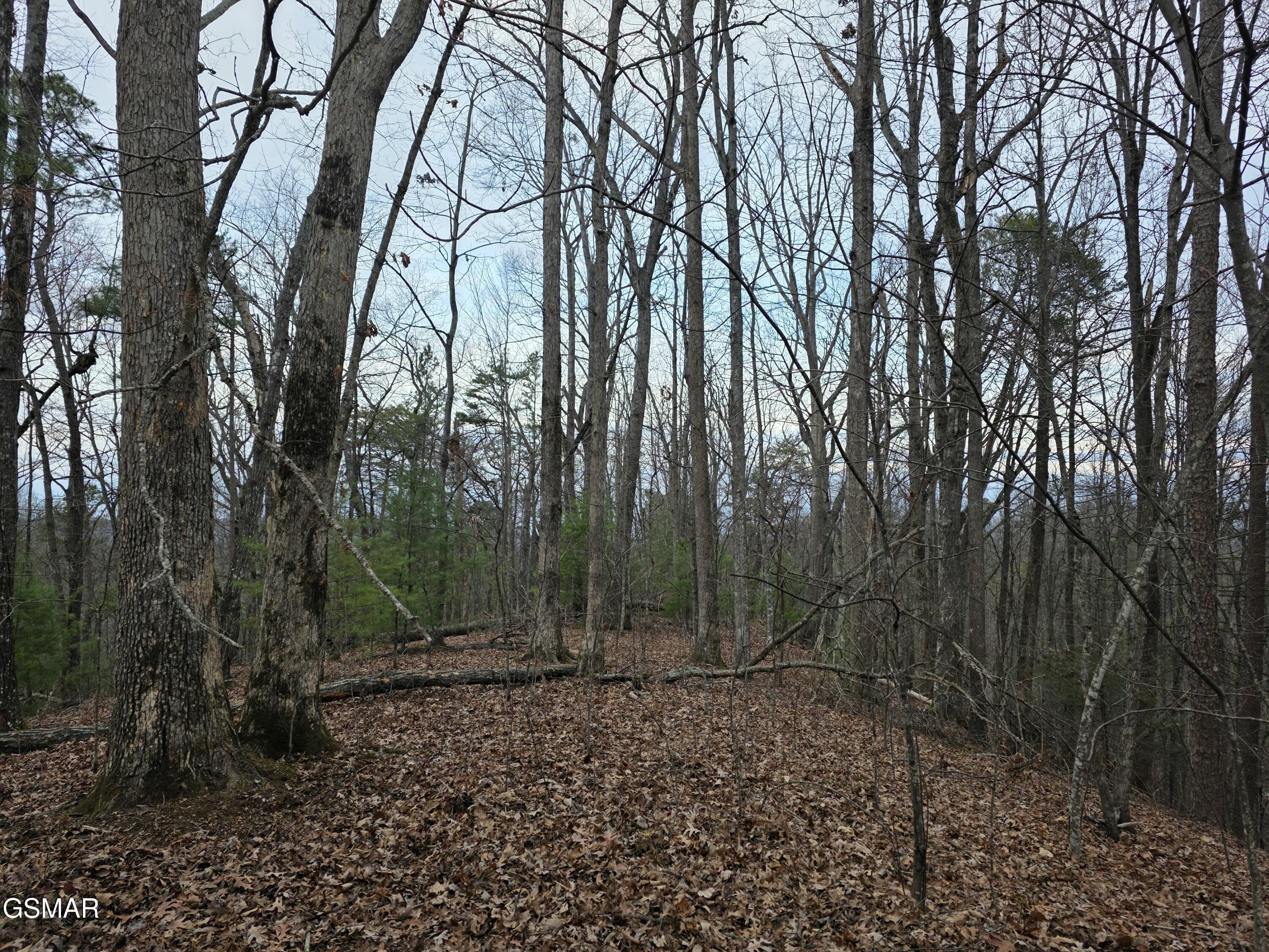 0 Deer Ridge Lane Sevierville TN 37876