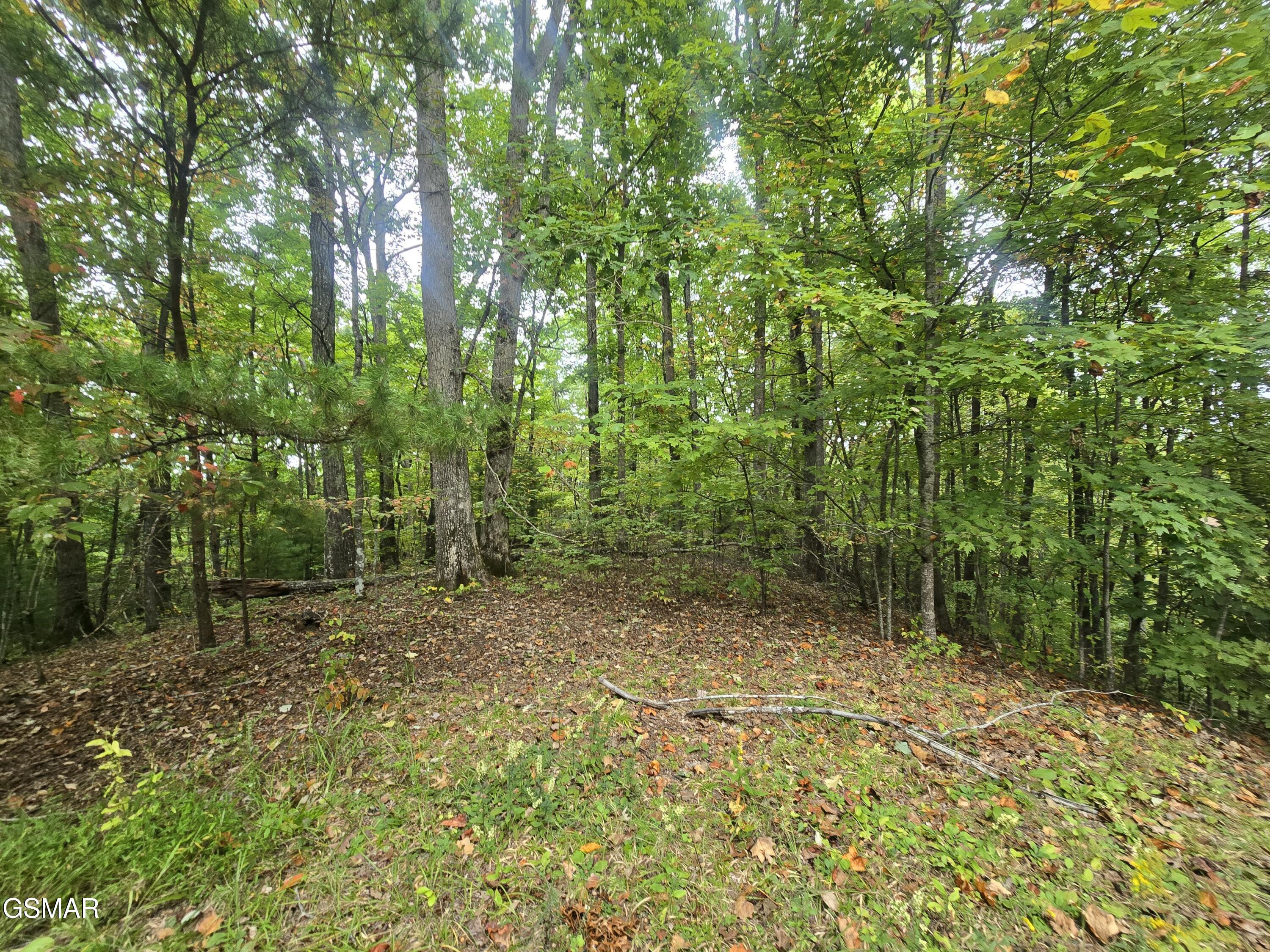0 Deer Ridge Lane Sevierville TN 37876