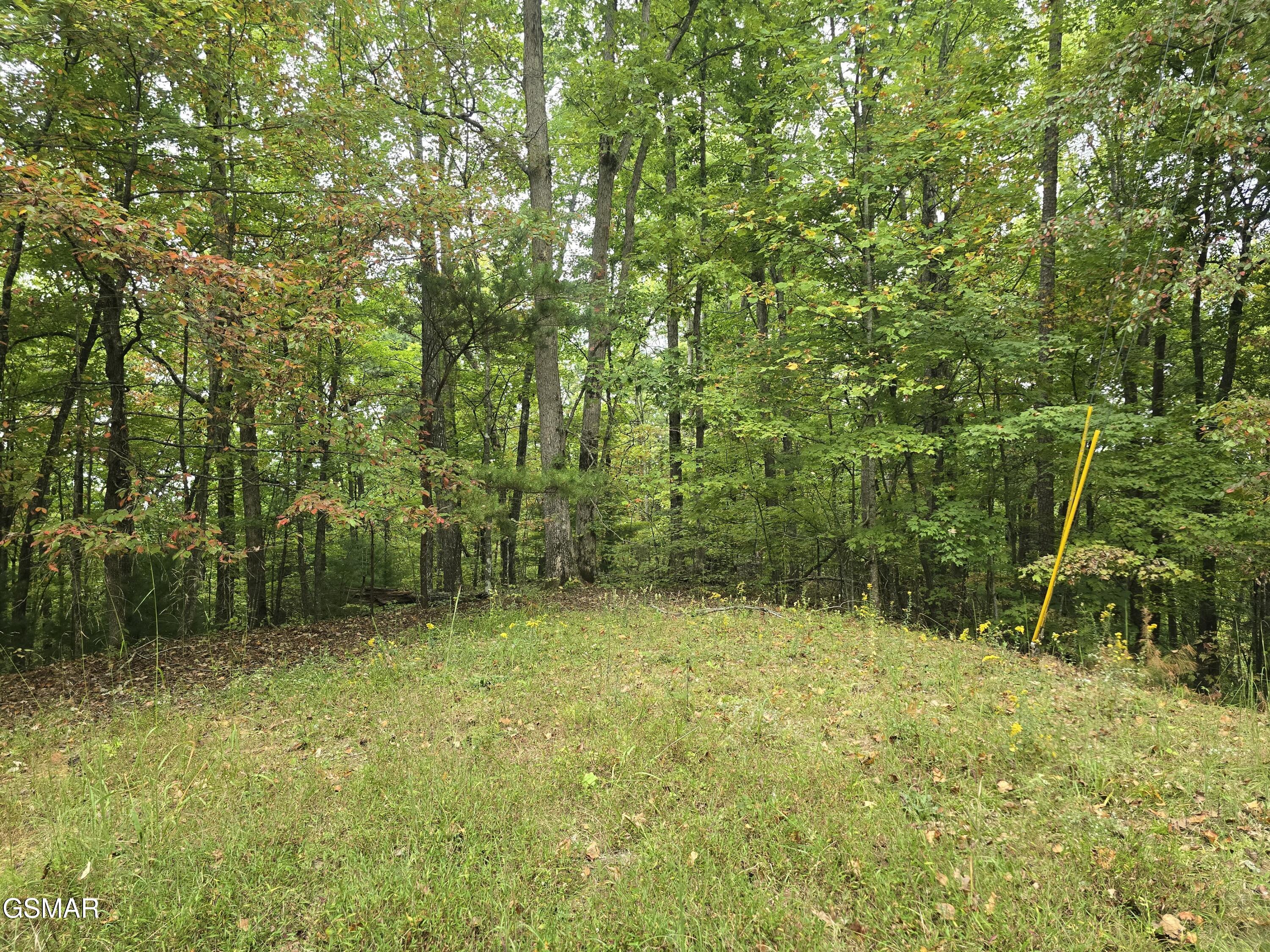 0 Deer Ridge Lane Sevierville TN 37876