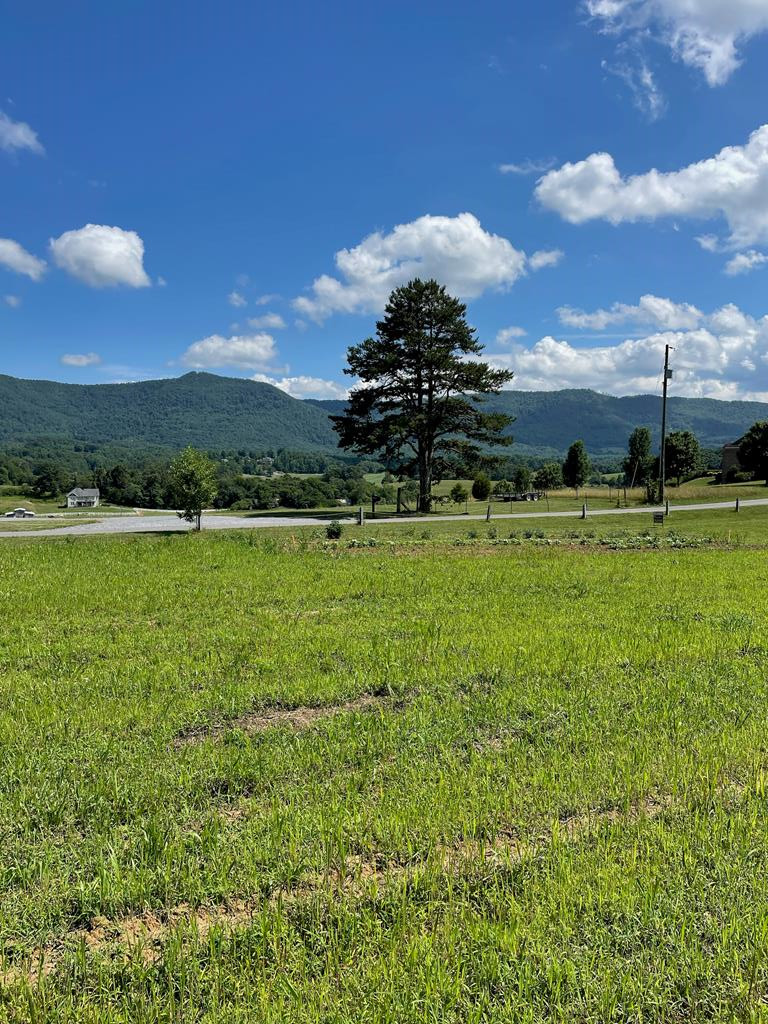 Lot 6/r #3 Alvey Hill Road Dandridge TN 37725