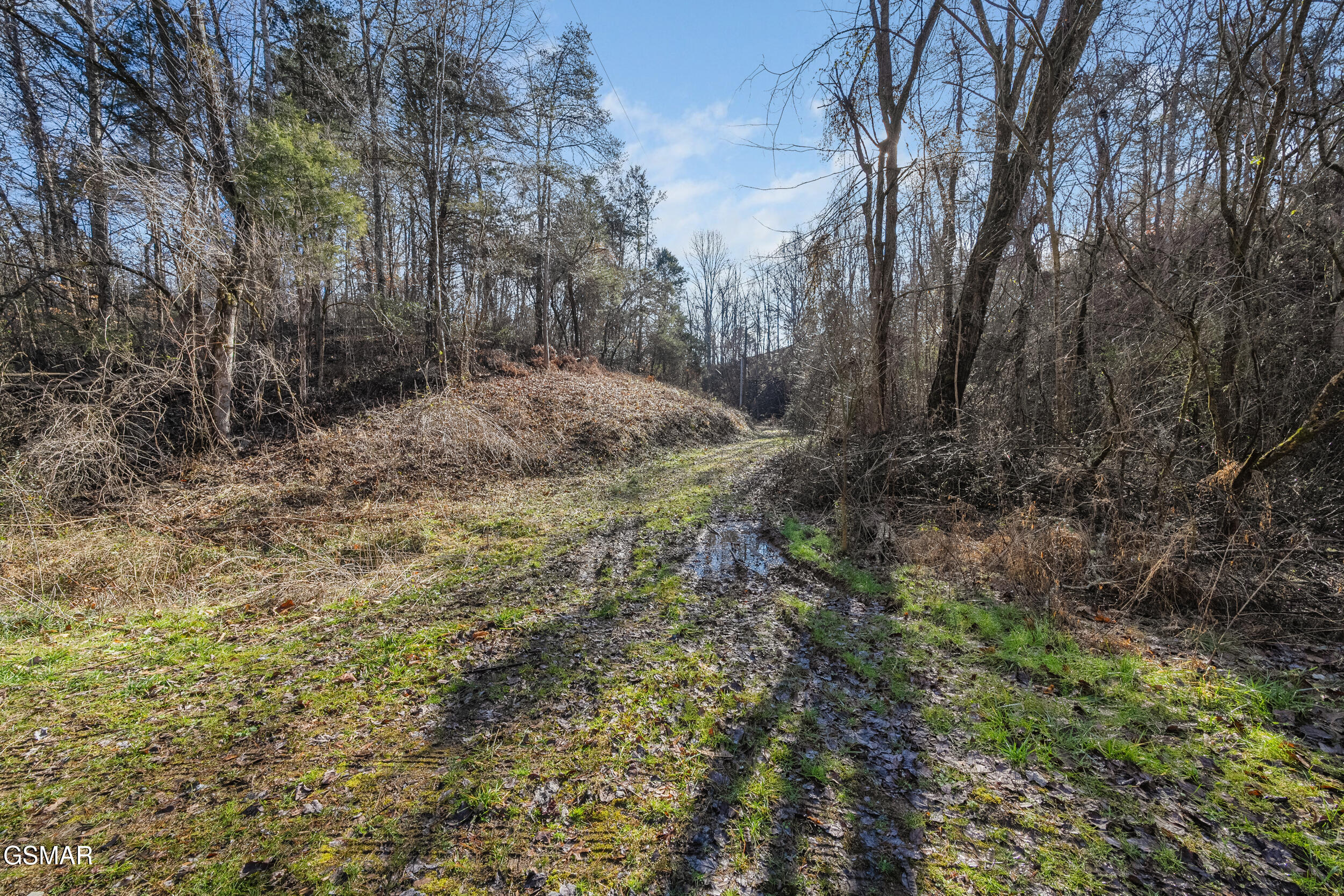 820 Old Gate Road Pigeon Forge TN 37863