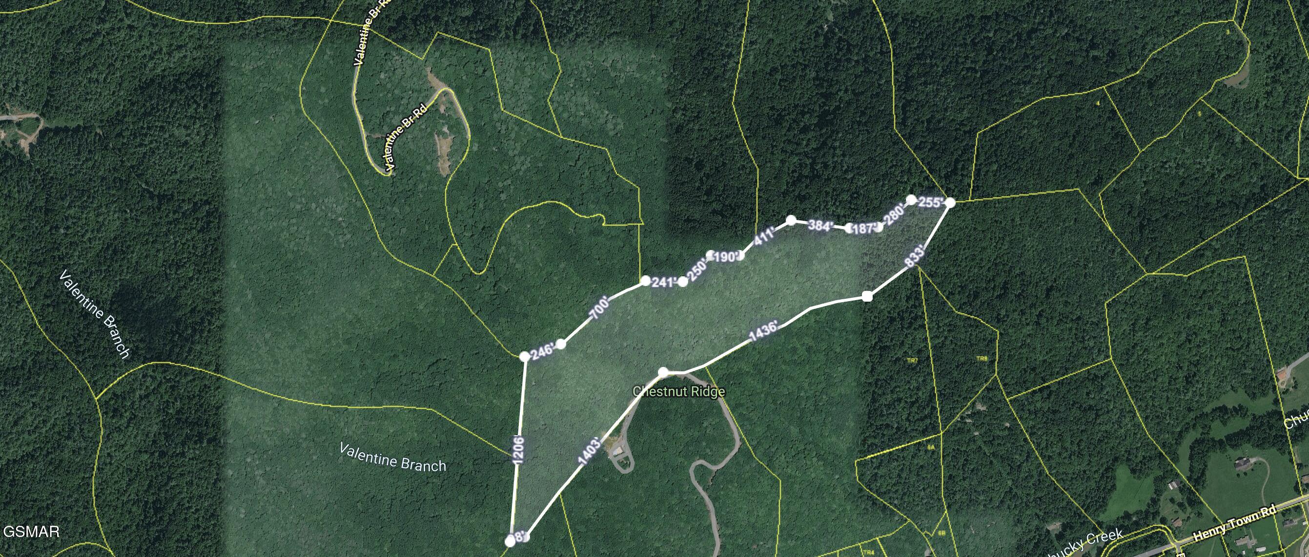 0 Henry Town Road Sevierville TN 37876