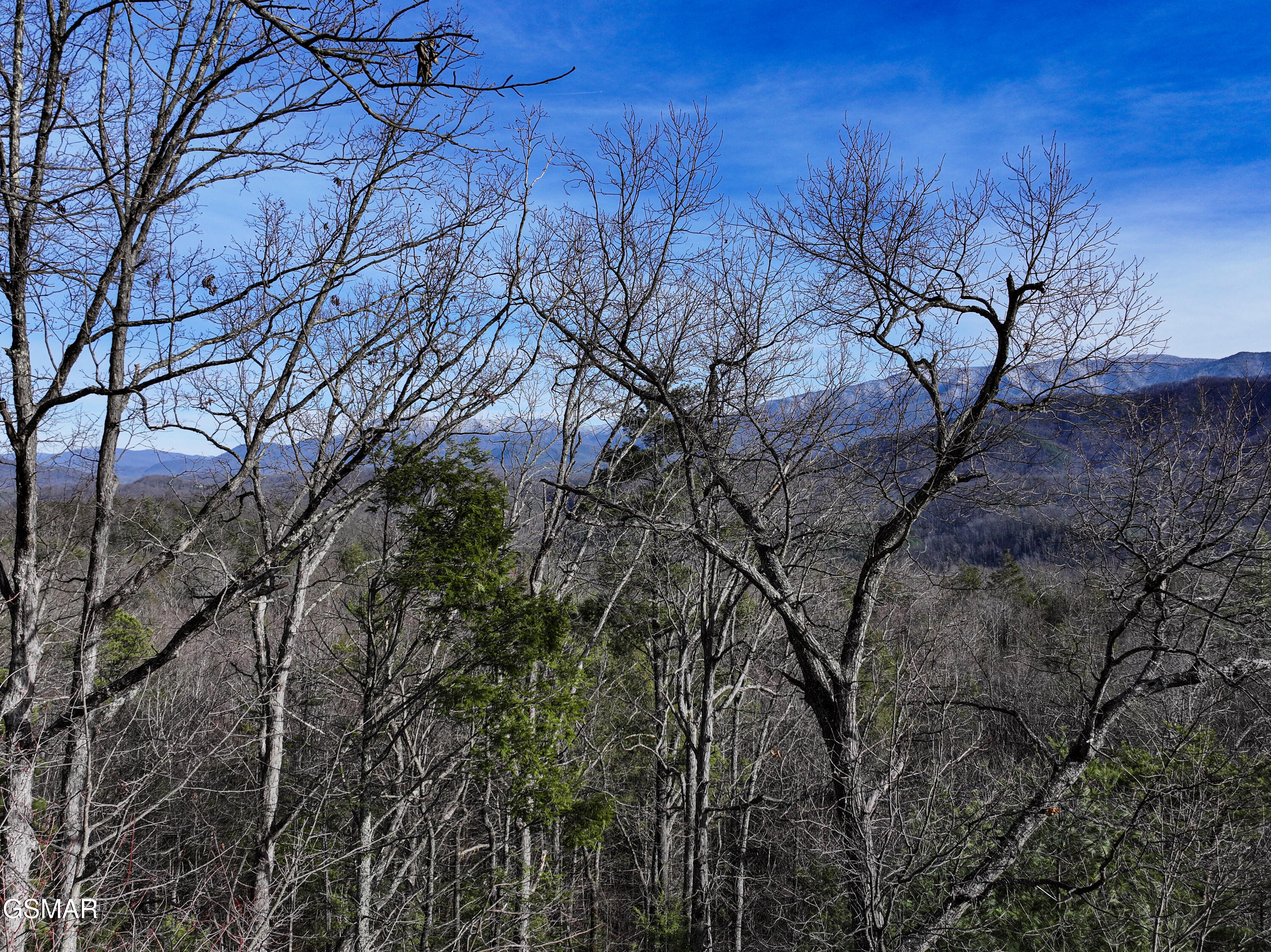 0 Henry Town Road Sevierville TN 37876