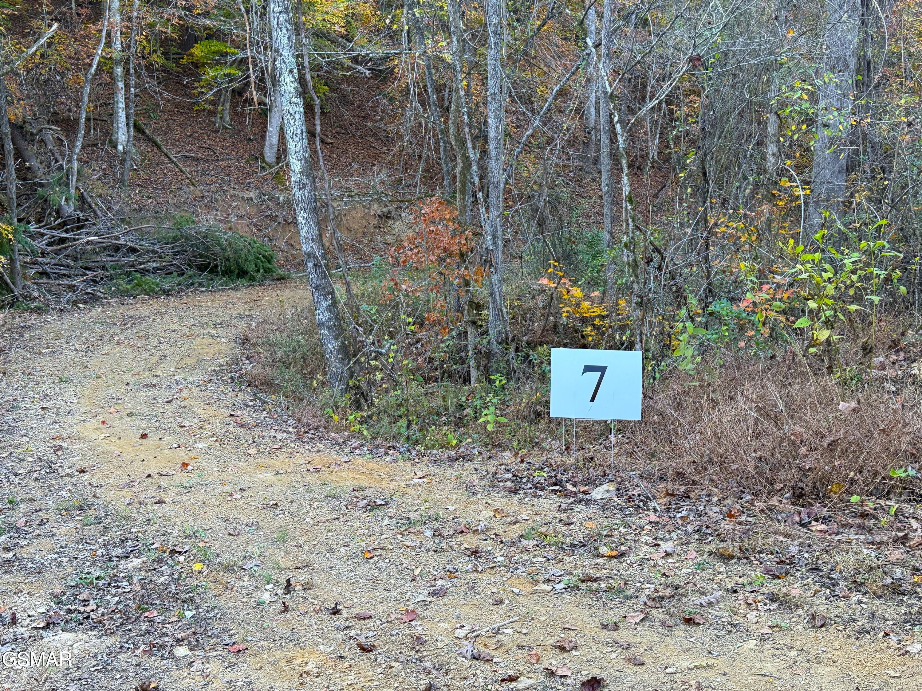 Tract 7 Topaz Way Parrottsville TN 37843