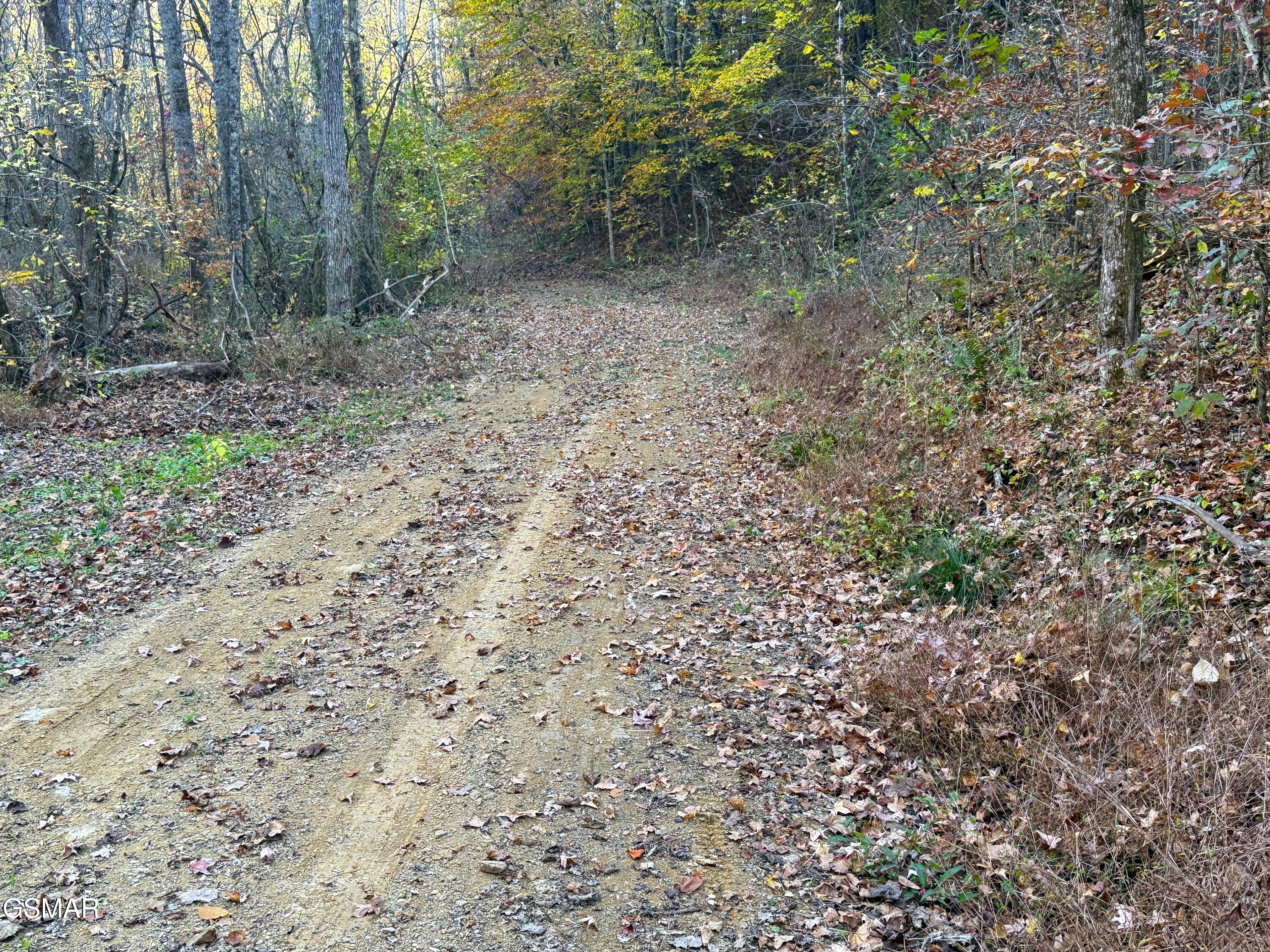 Tract 7 Topaz Way Parrottsville TN 37843
