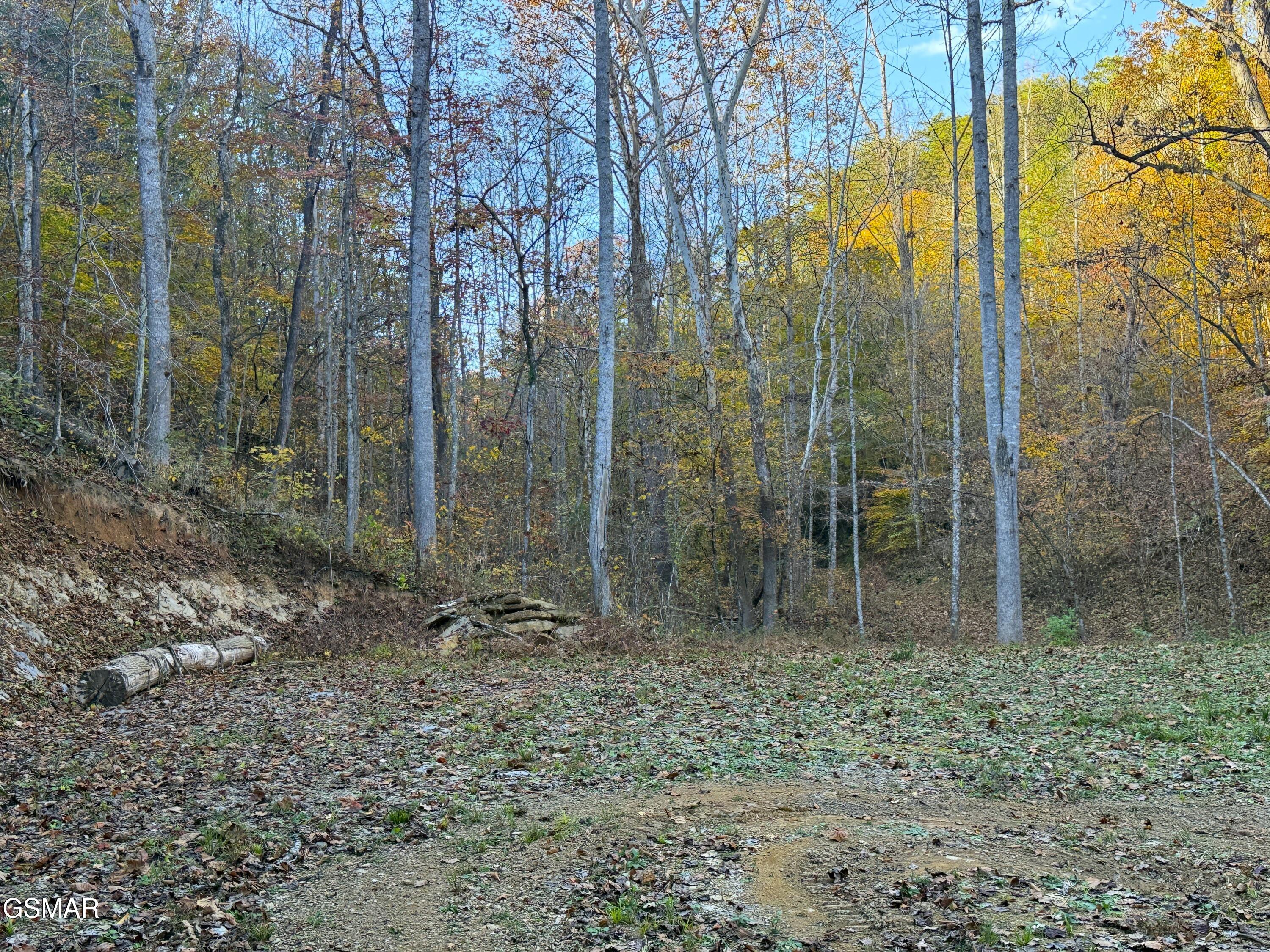 Tract 7 Topaz Way Parrottsville TN 37843