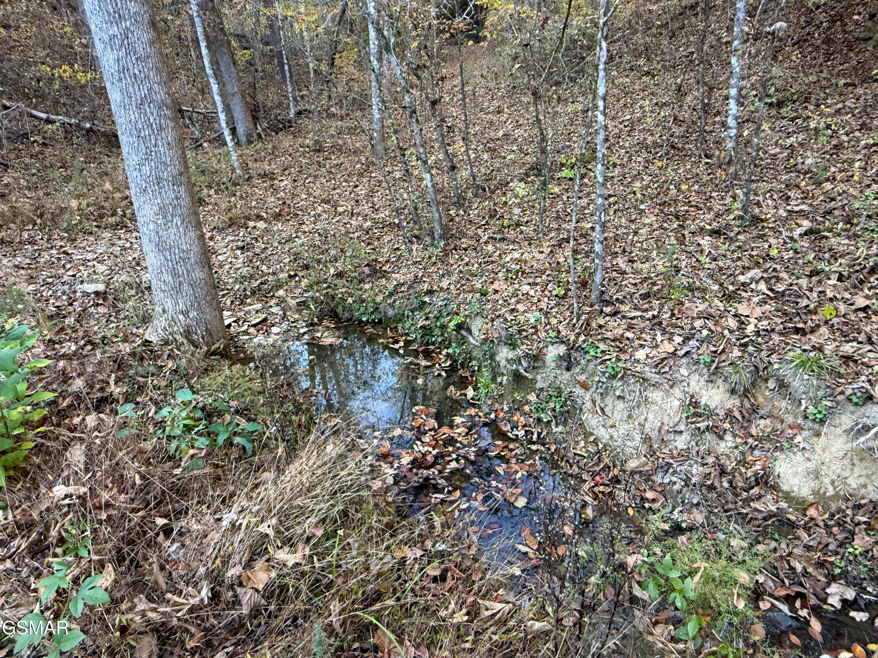 Tract 7 Topaz Way Parrottsville TN 37843
