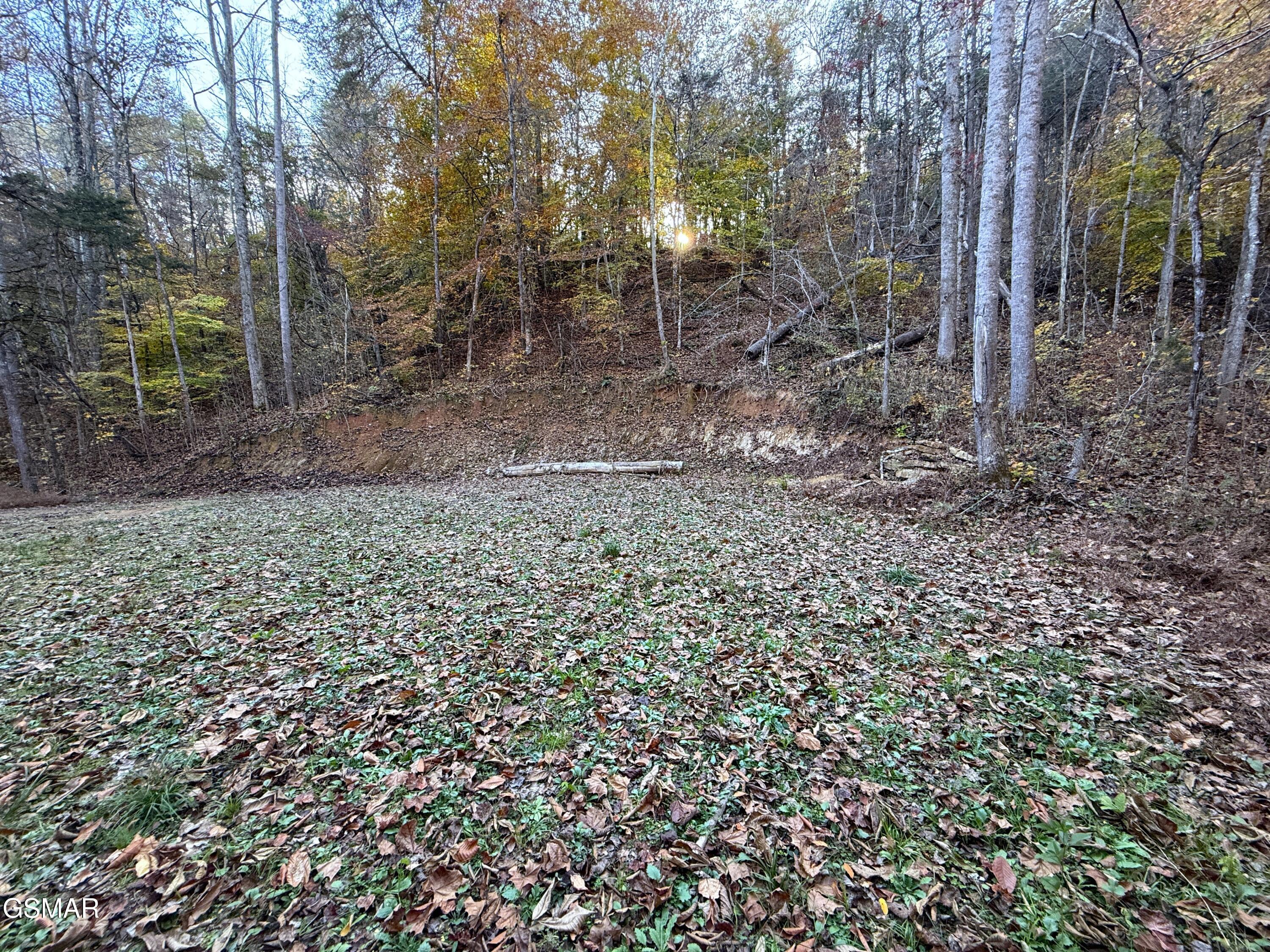 Tract 7 Topaz Way Parrottsville TN 37843