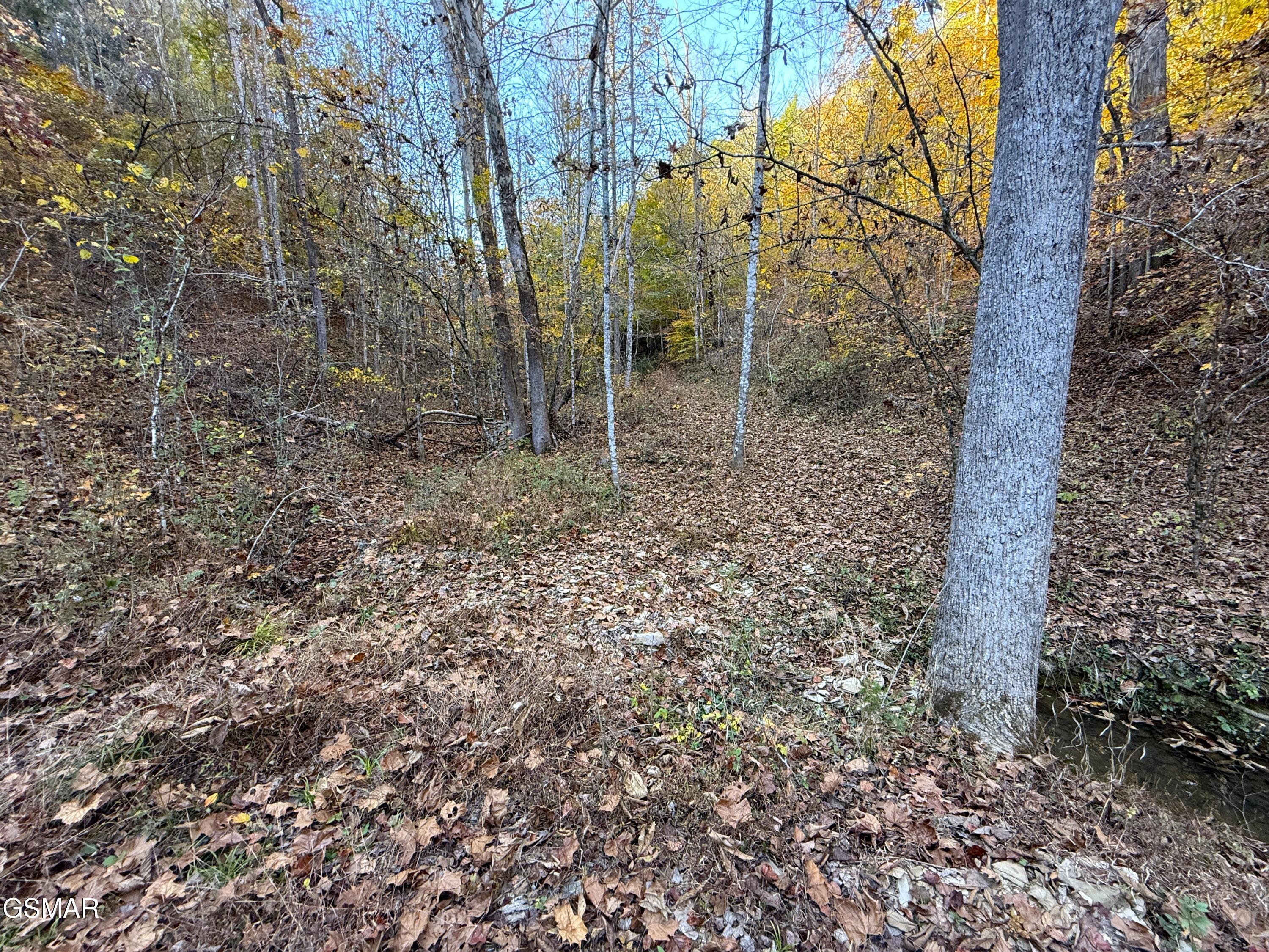 Tract 7 Topaz Way Parrottsville TN 37843